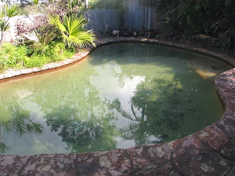 147 Hinkler Drive, WORONGARY  QLD  4213, Worongary - Thumbnail 4