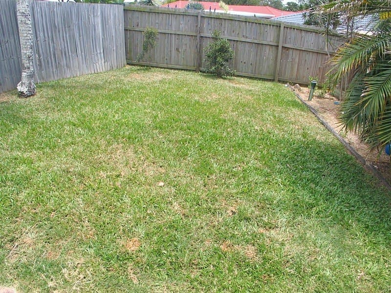 9 Alzino Place, CARRARA  QLD  4211, Carrara - Thumbnail 7