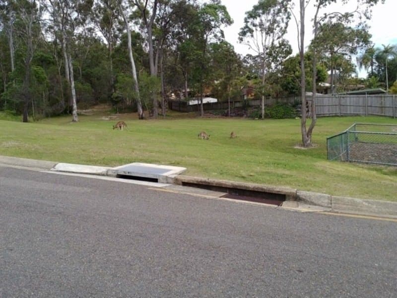 3 Mullewa Crescent, HELENSVALE  QLD  4212, Helensvale - Thumbnail 6