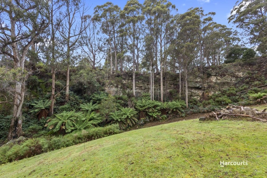 204 Lightwood Creek Road, GLEN HUON, TAS 7109, Glen Huon - Thumbnail 4