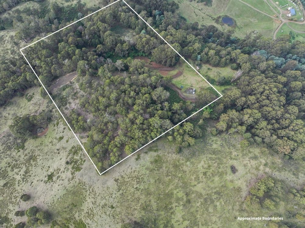 204 Lightwood Creek Road, GLEN HUON, TAS 7109, Glen Huon - Thumbnail 5