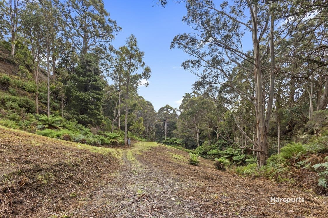204 Lightwood Creek Road, GLEN HUON, TAS 7109, Glen Huon - Thumbnail 8