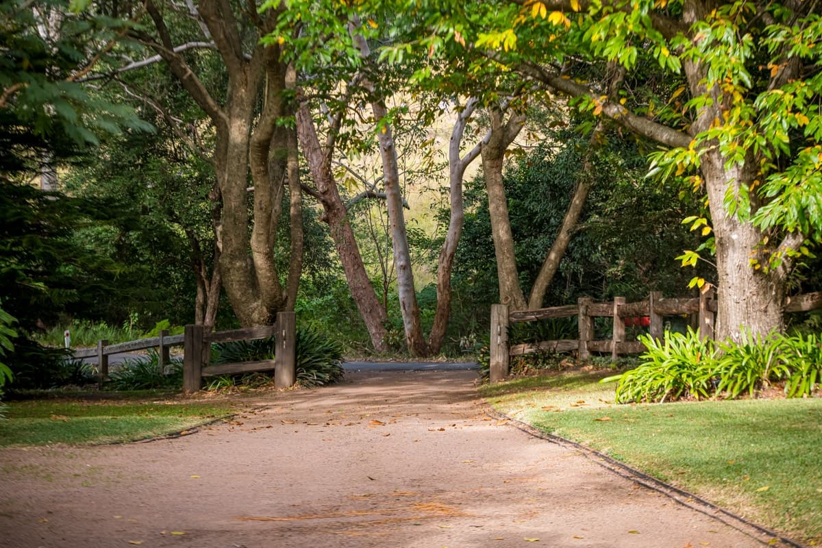 154 Bundewallah Road, Berry - Thumbnail 3