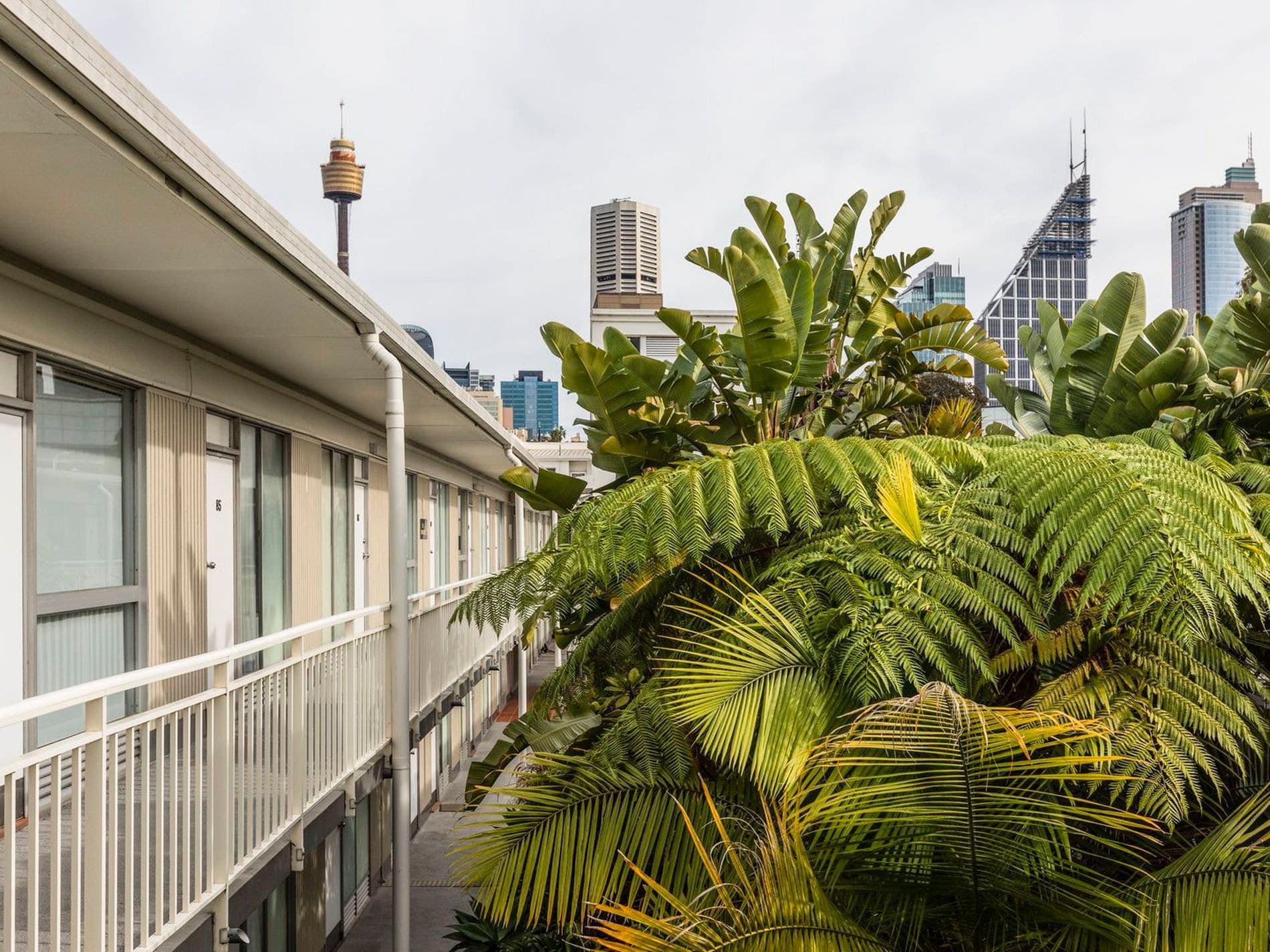 17 / 19-23 Forbes Street, Woolloomooloo, Woolloomooloo - Thumbnail 2