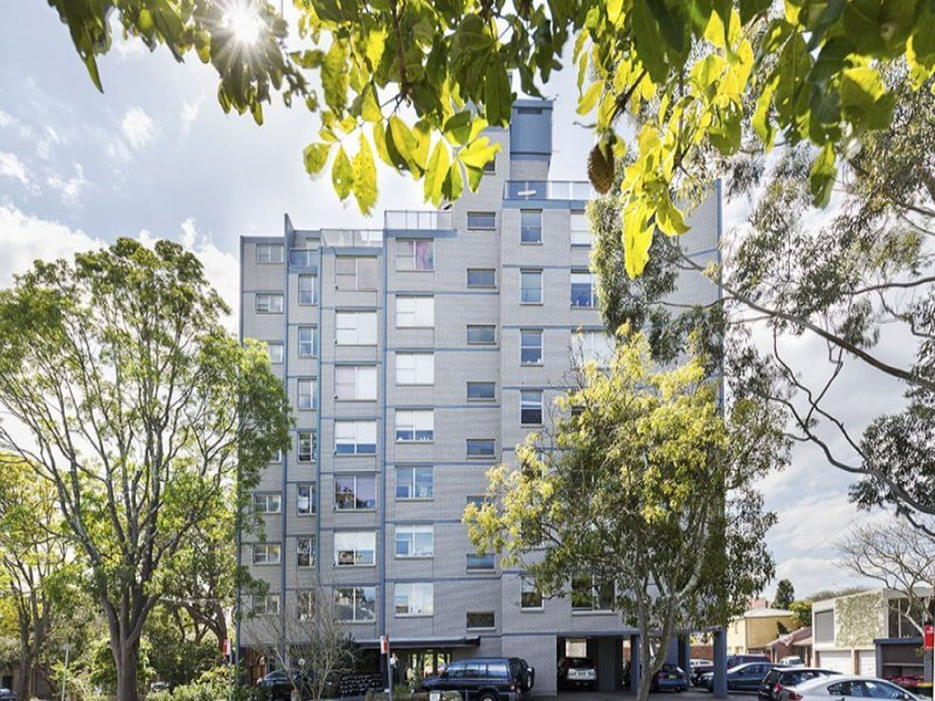 1E / 105 Cook Road, Centennial Park, Centennial Park - Thumbnail 3