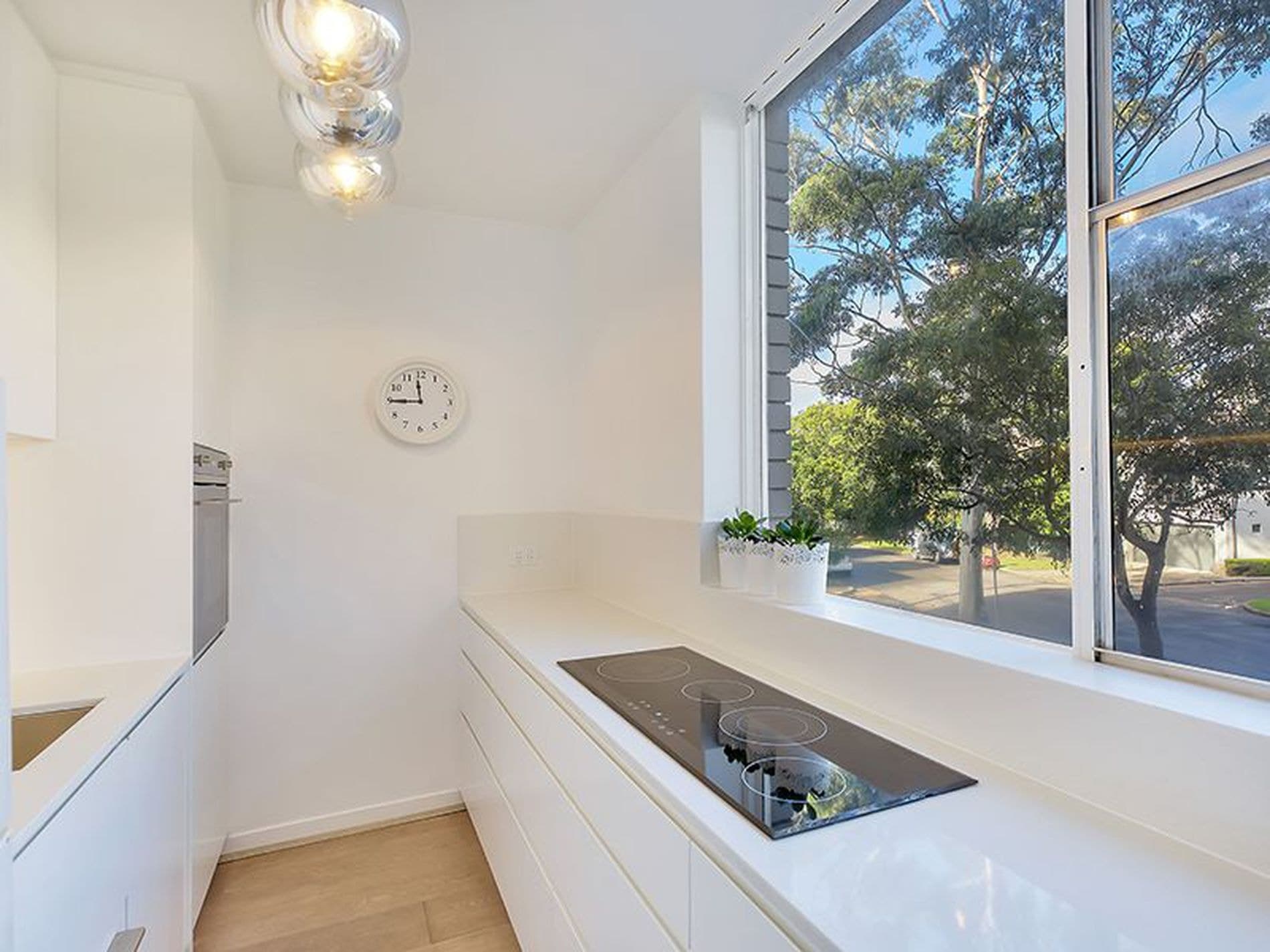 1E / 105 Cook Road, Centennial Park, Centennial Park - Thumbnail 7