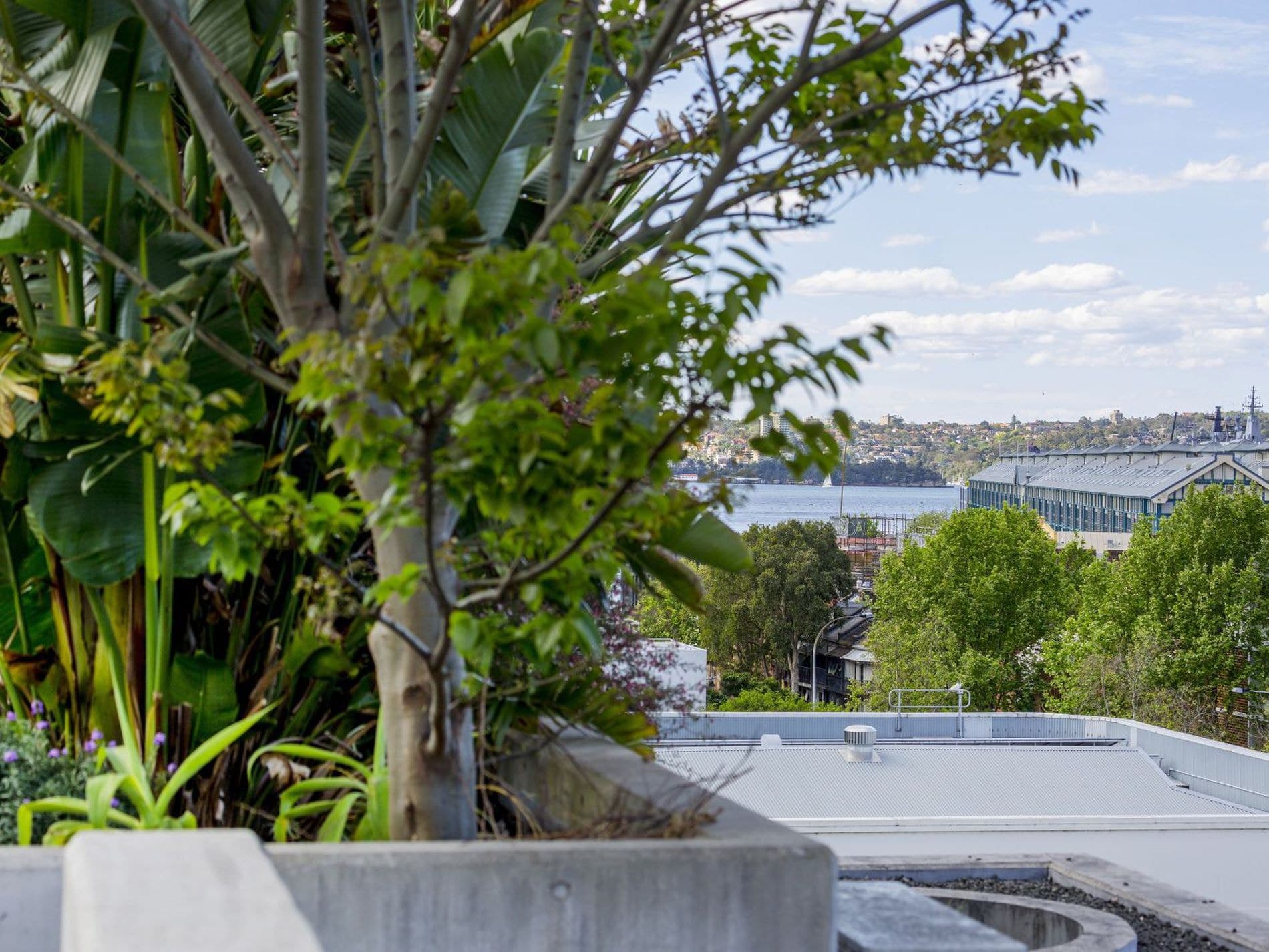 30 / 85 Bourke Street, Woolloomooloo, Woolloomooloo - Thumbnail 2