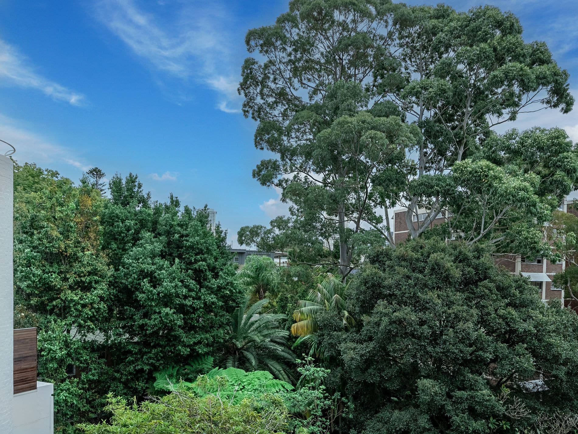 1 / 10A Cooper Street, Paddington, Paddington - Thumbnail 8