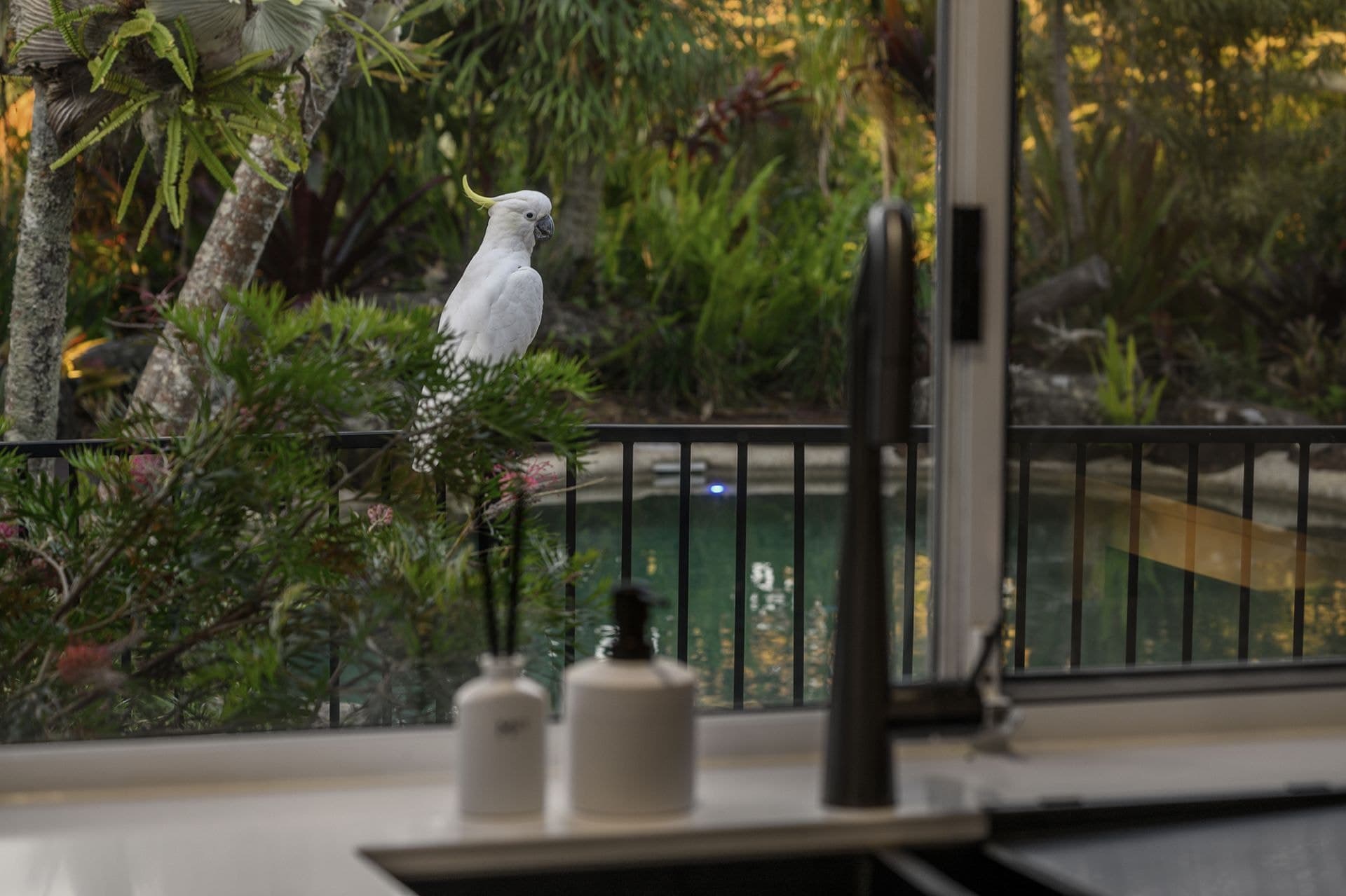 8 Isabella Court, Tallebudgera - Thumbnail 7