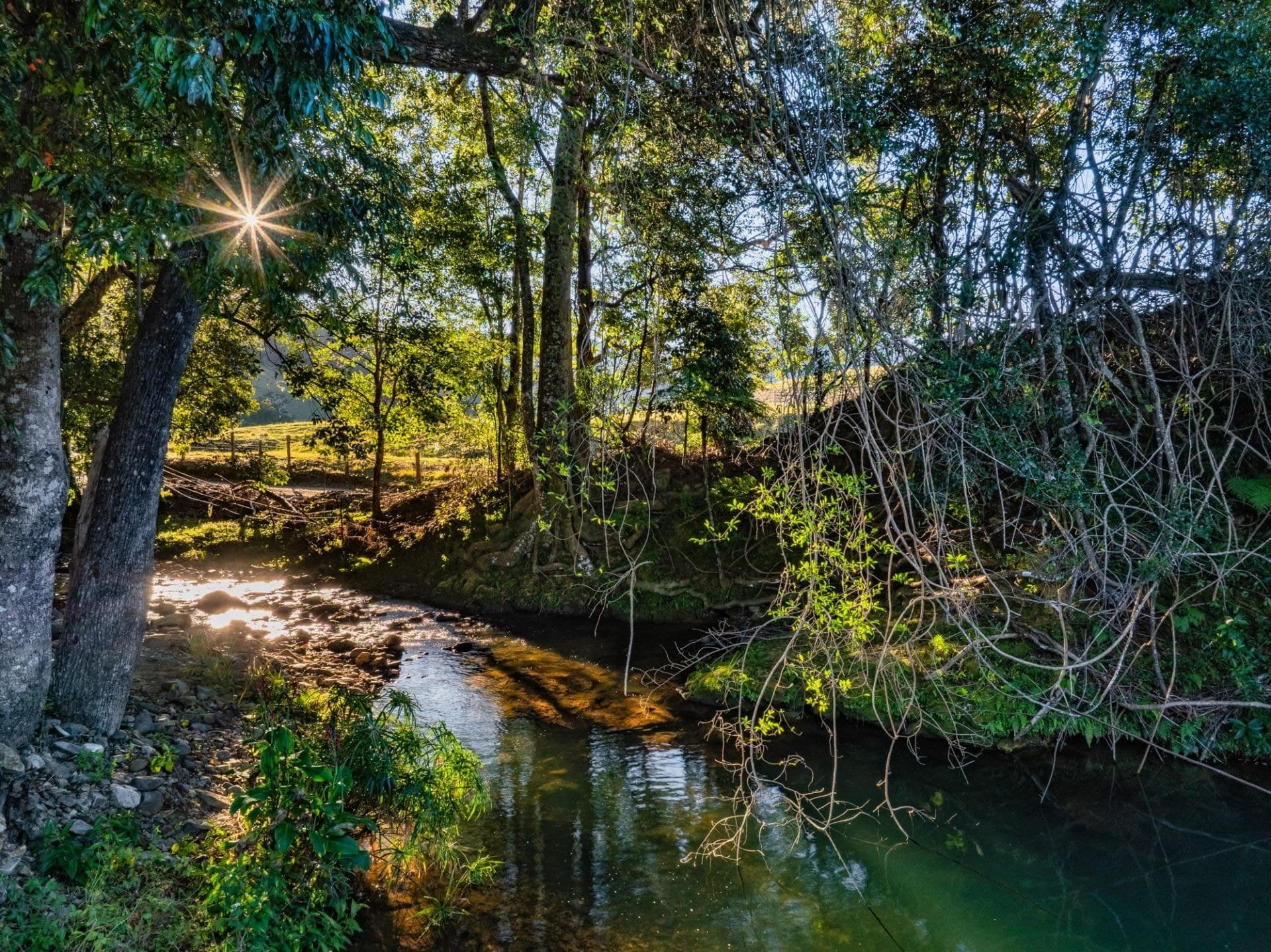95 Dungay Creek Road, Dungay - Image 1