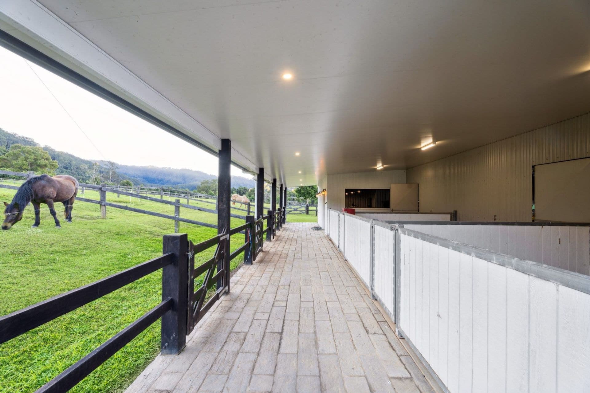 95 Dungay Creek Road, Dungay - Thumbnail 6
