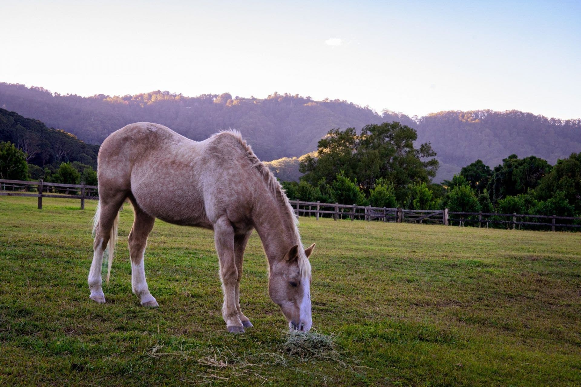 95 Dungay Creek Road, Dungay - Thumbnail 8