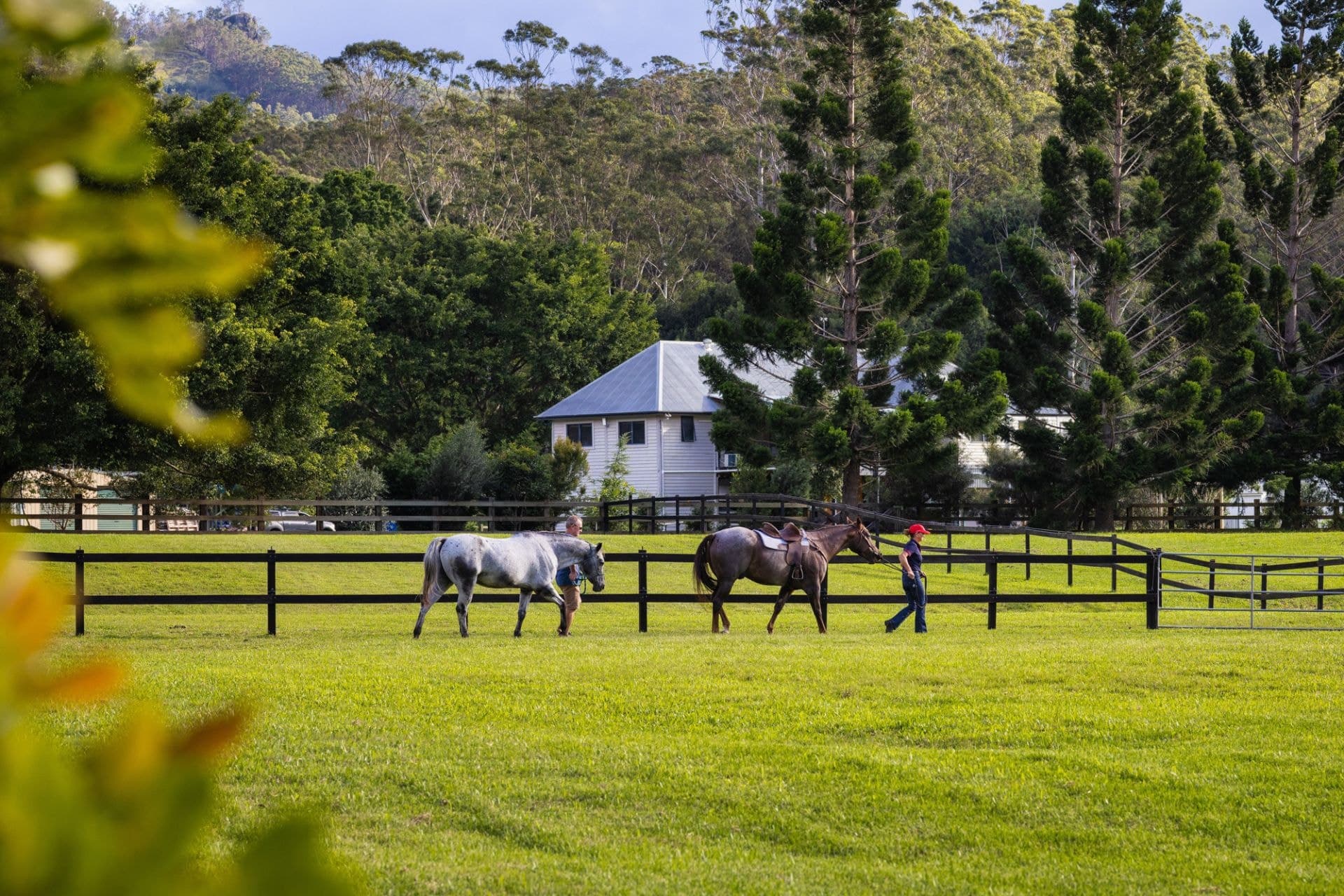 28 Rusty Court, Tallebudgera Valley - Thumbnail 5