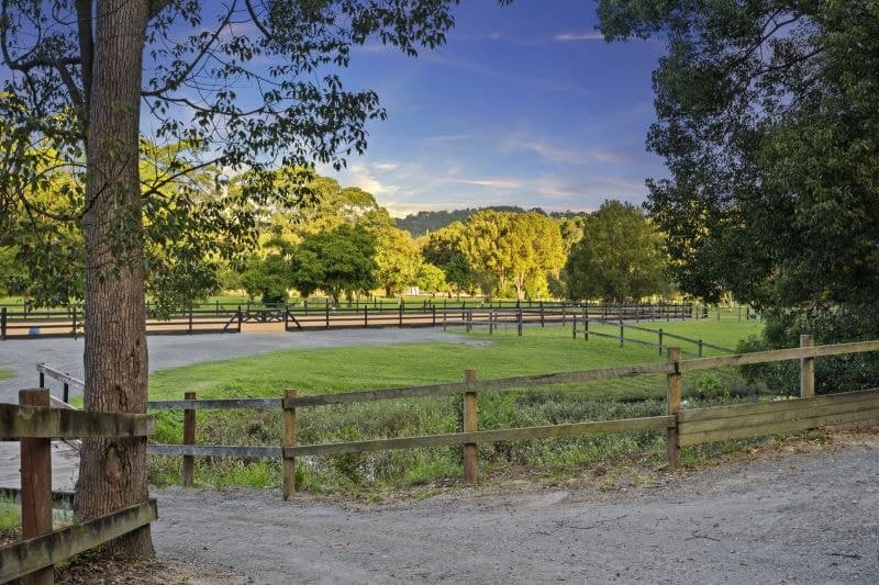 763 Tallebudgera Creek Road, Tallebudgera Valley - Thumbnail 6