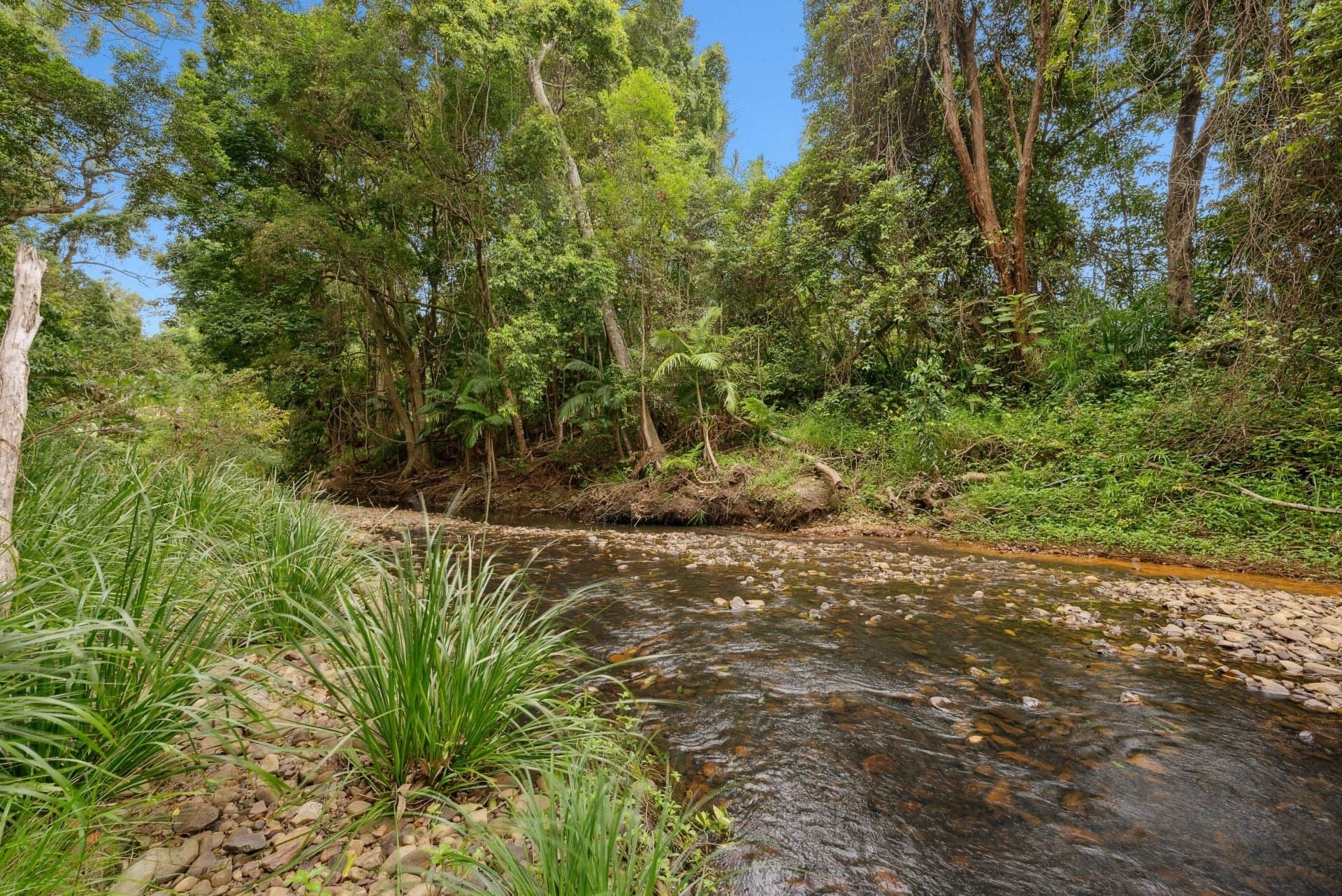 7 Appaloosa Court, Mudgeeraba - Image 1