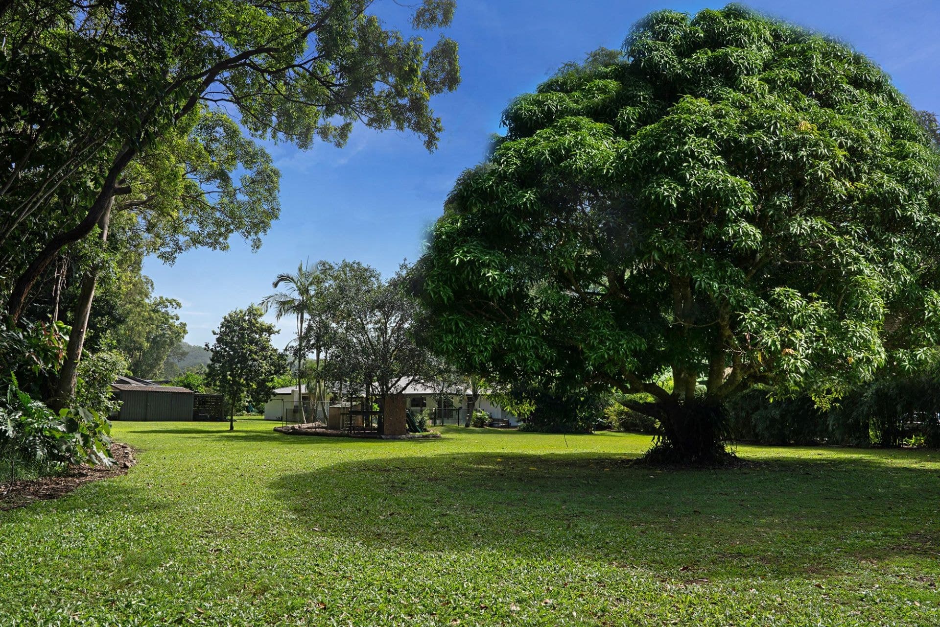 7 Appaloosa Court, Mudgeeraba - Thumbnail 7