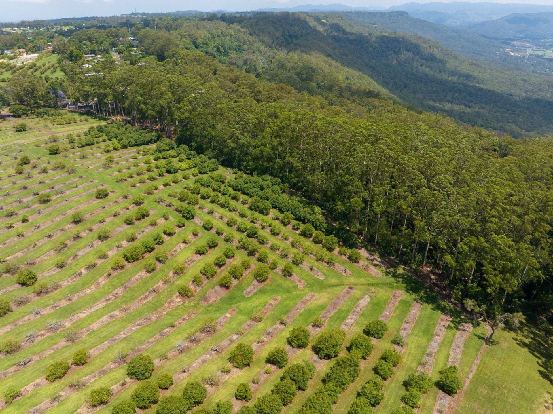 Lot 9/41- 43 Manitzky Road, Tamborine Mountain - Thumbnail 4
