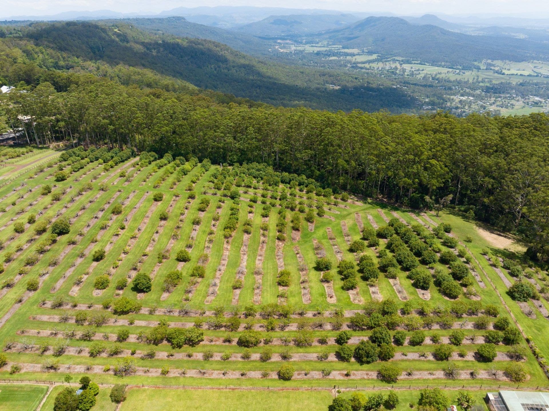 Lot 9/41- 43 Manitzky Road, Tamborine Mountain - Thumbnail 5
