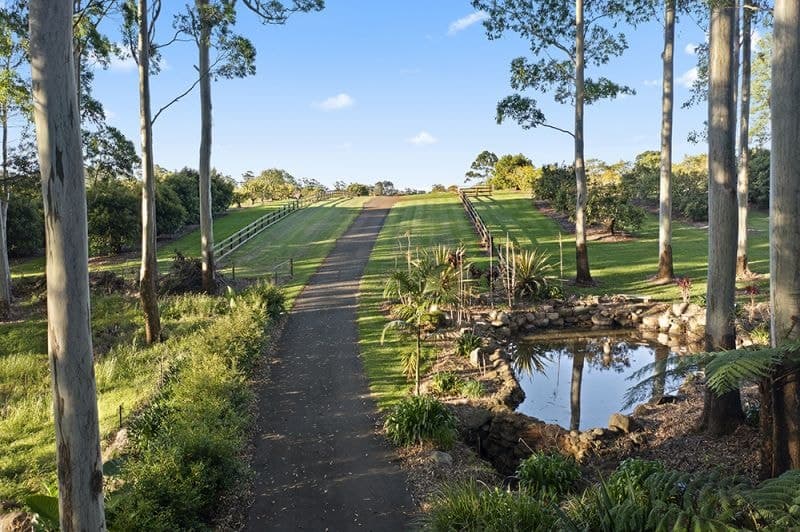 Lot 9/41- 43 Manitzky Road, Tamborine Mountain - Thumbnail 6