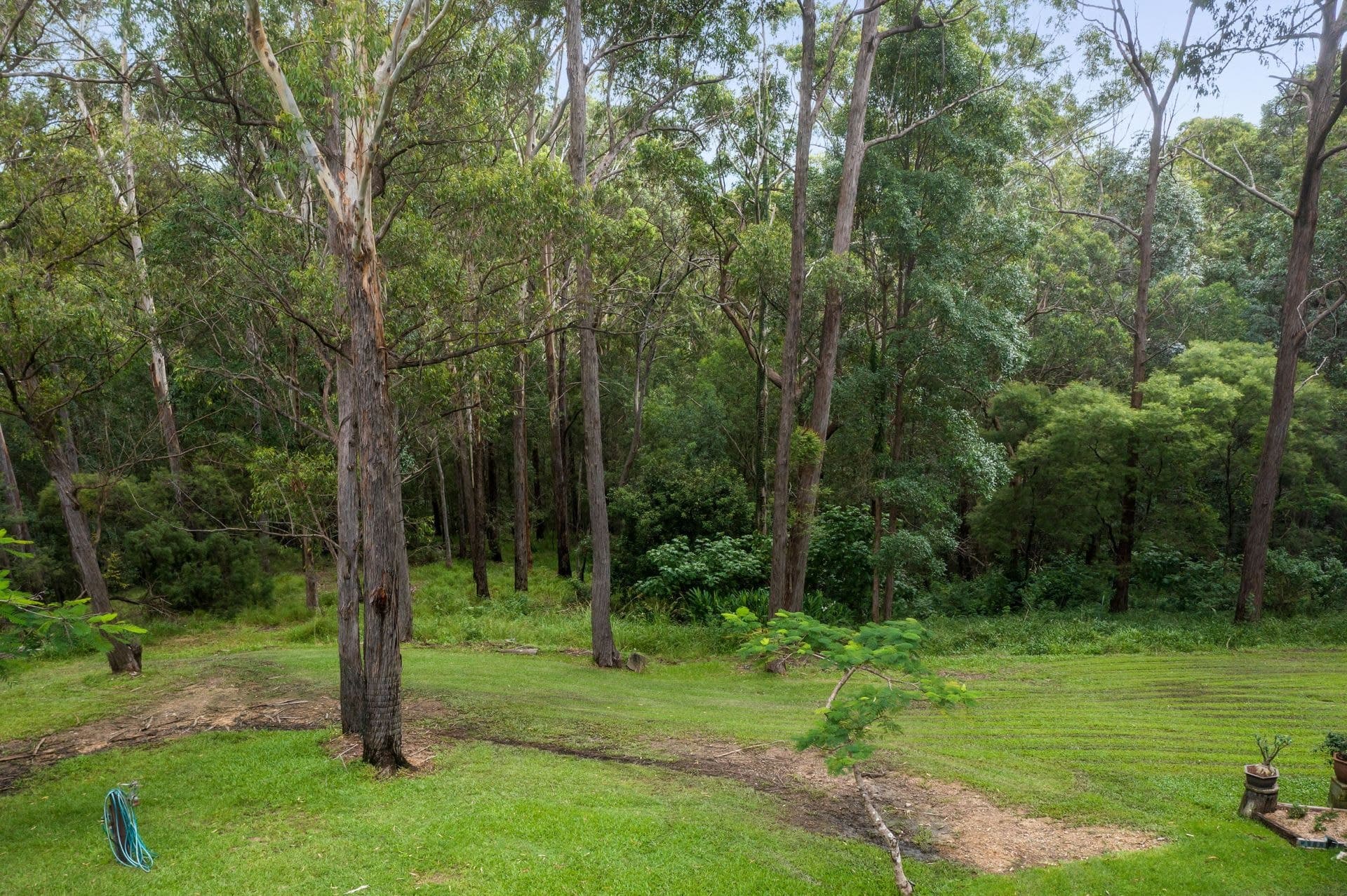 153 Simpsons Road, Elanora - Image 1