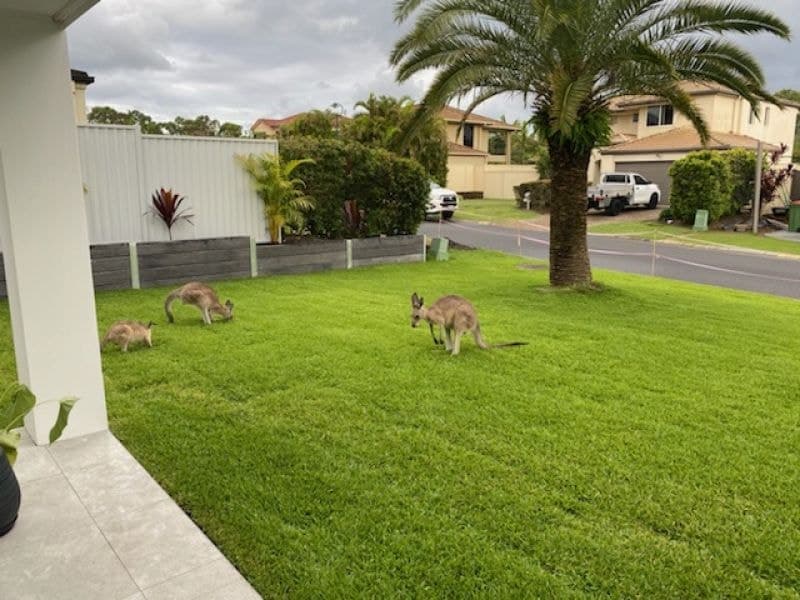 25 Golden Bear Drive, Arundel - Image 1