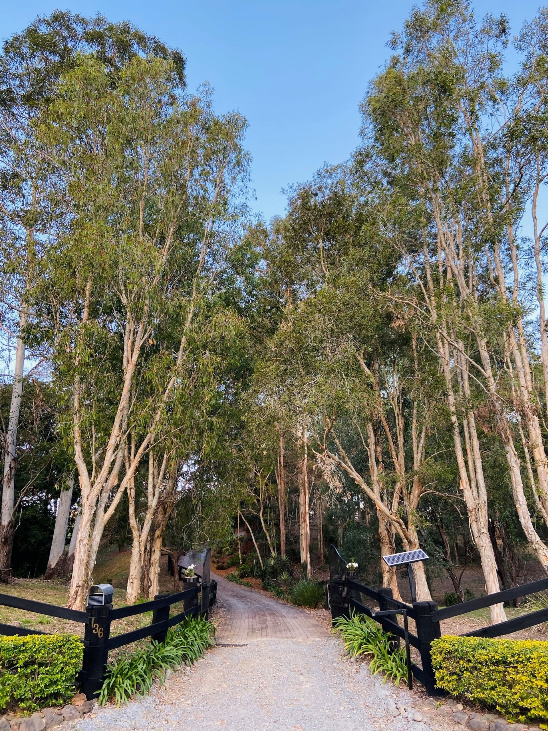 136 Tarata Road, Guanaba - Thumbnail 6