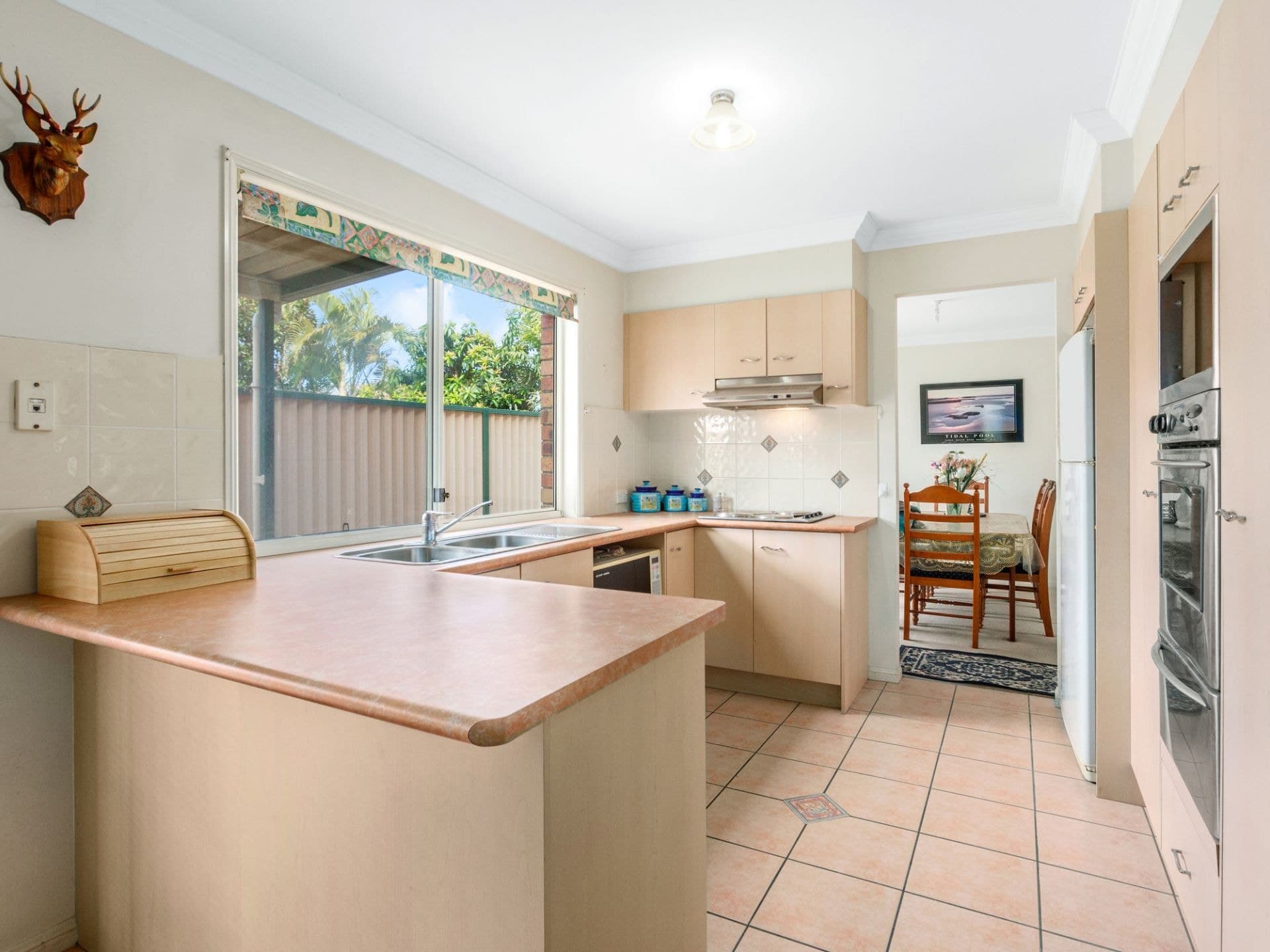 42 Poinsettia Avenue, Runaway Bay - Thumbnail 4