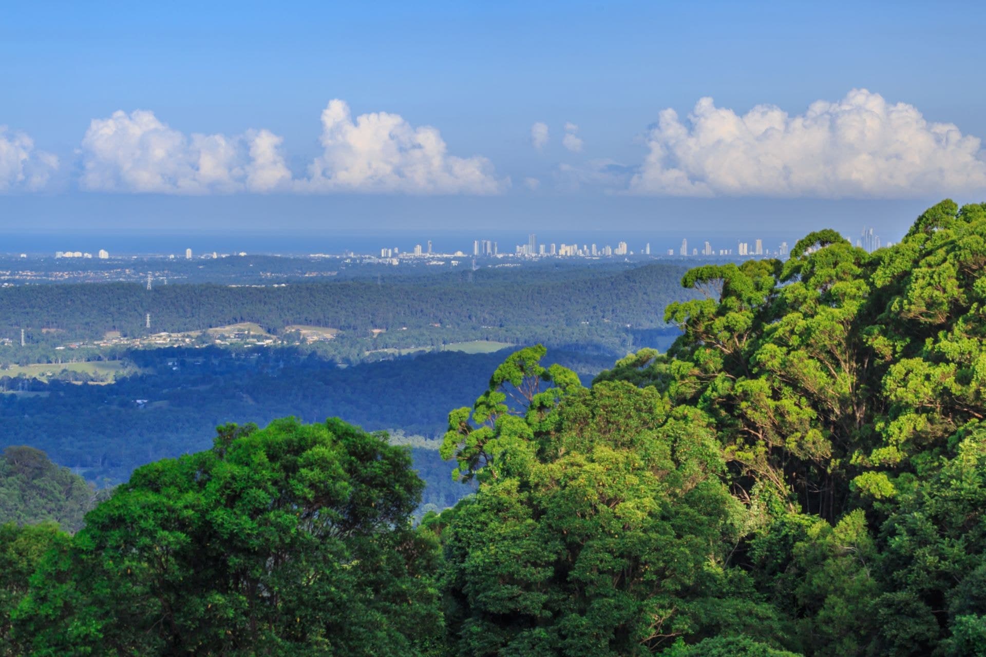 32 Carey Parade, Tamborine Mountain - Thumbnail 8