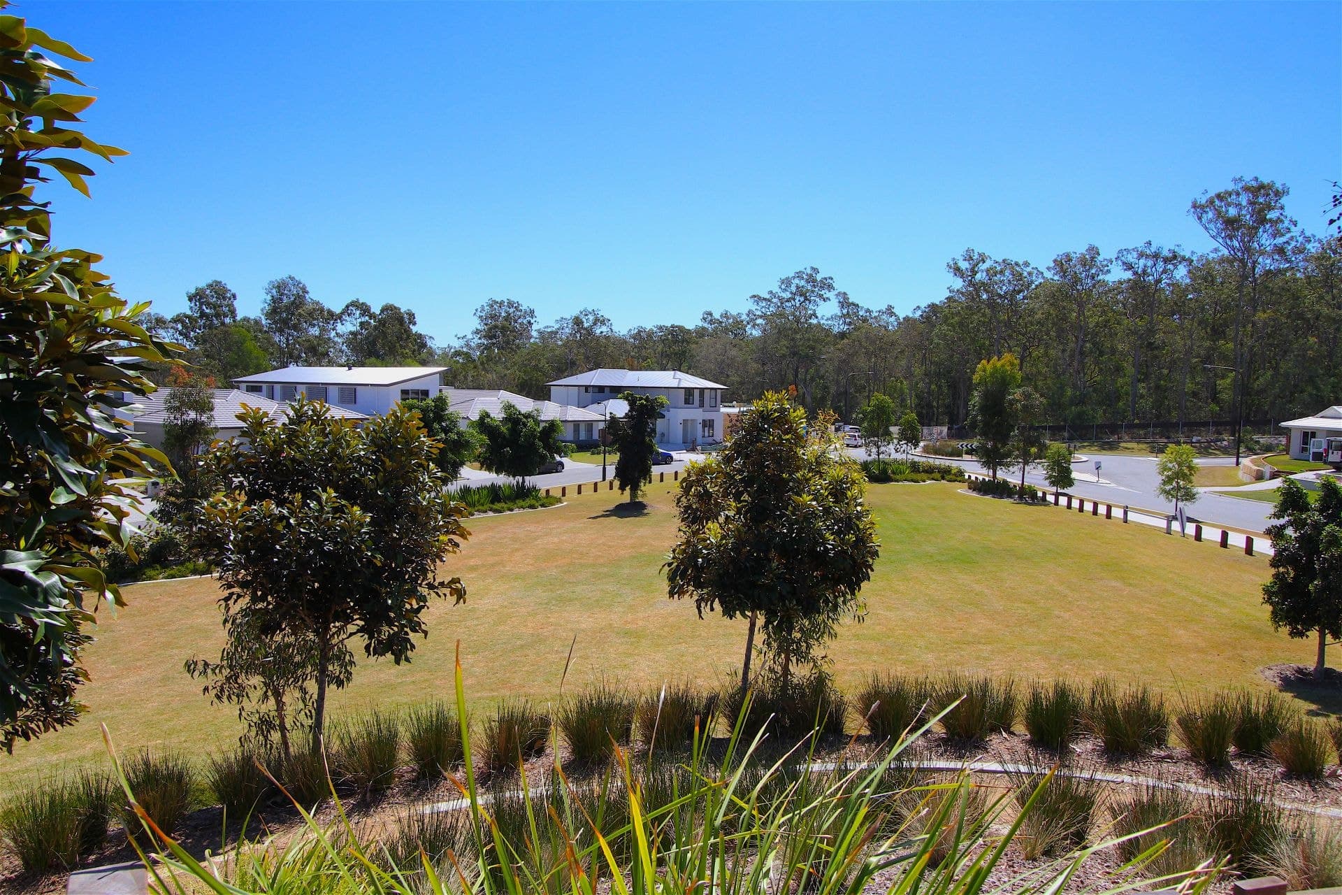 20 Paluma Crescent, Pimpama - Thumbnail 6