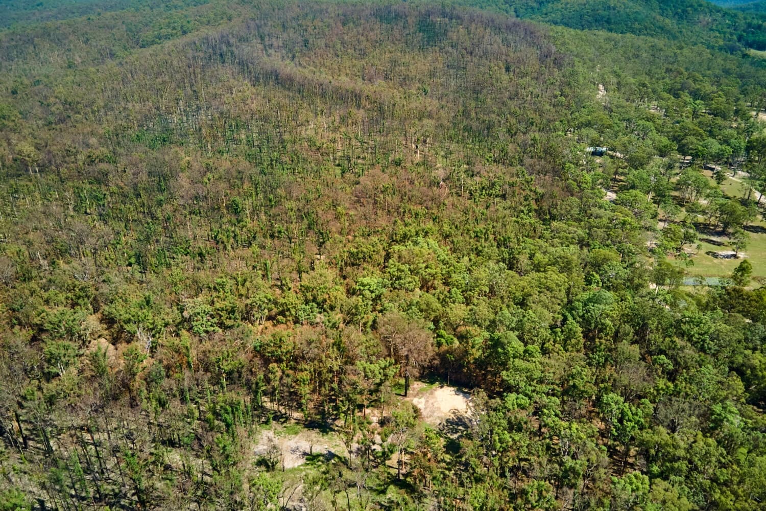O_19 “ Vacant land Emu Creek ”, Bulahdelah - Thumbnail 4