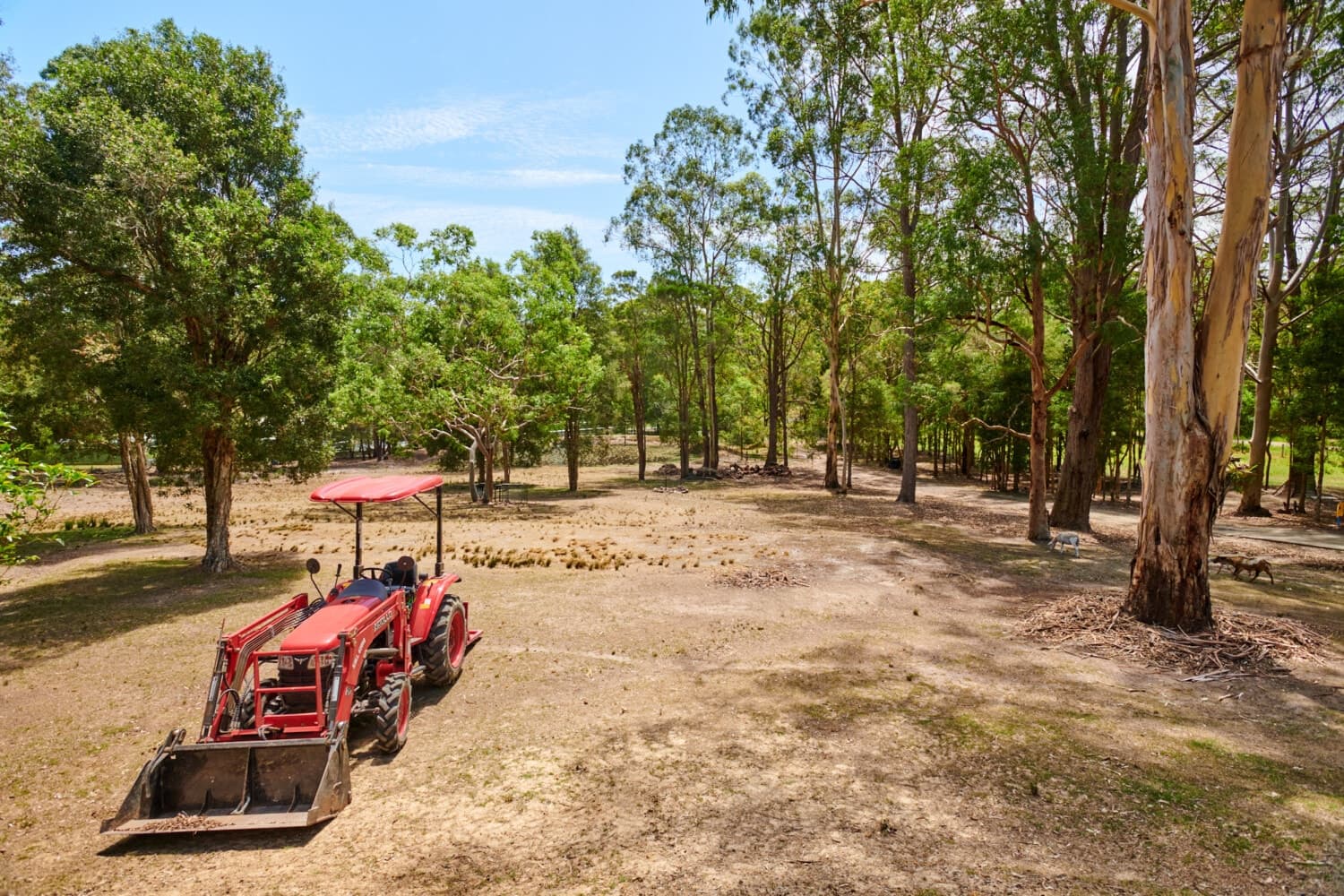 G_93 “ Great Little Hobby Farm”, Bulahdelah - Thumbnail 7