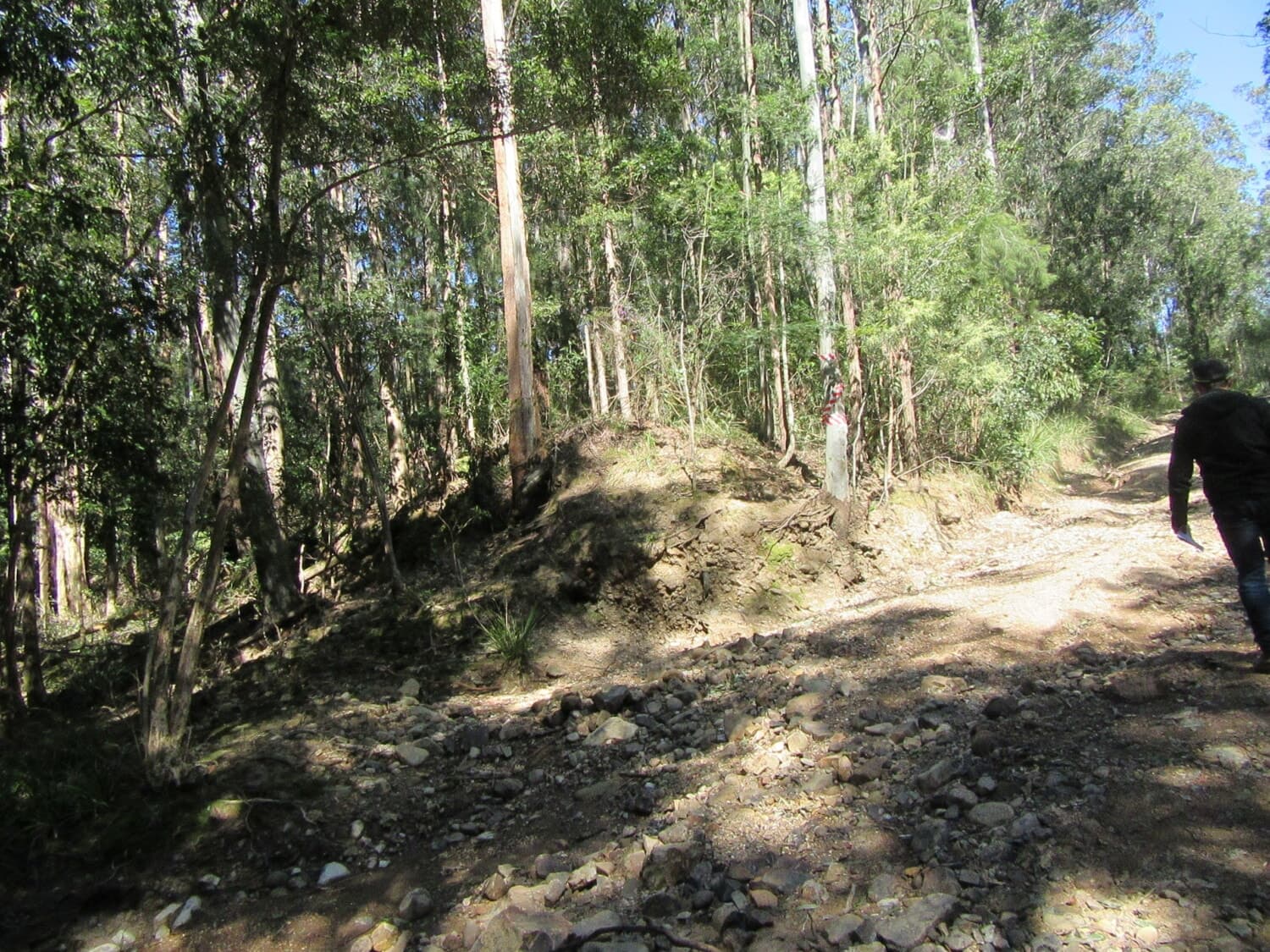 T_90 “ Small acreage with dwelling entitlement”, Bulahdelah - Thumbnail 5