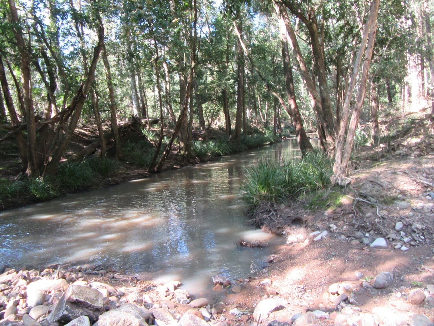 T_90 “ Small acreage with dwelling entitlement”, Bulahdelah - Thumbnail 7