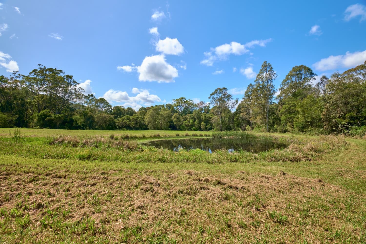 C_97 “ SMALL FARM CLOSE TO BULAHDELAH”, Bulahdelah - Thumbnail 8