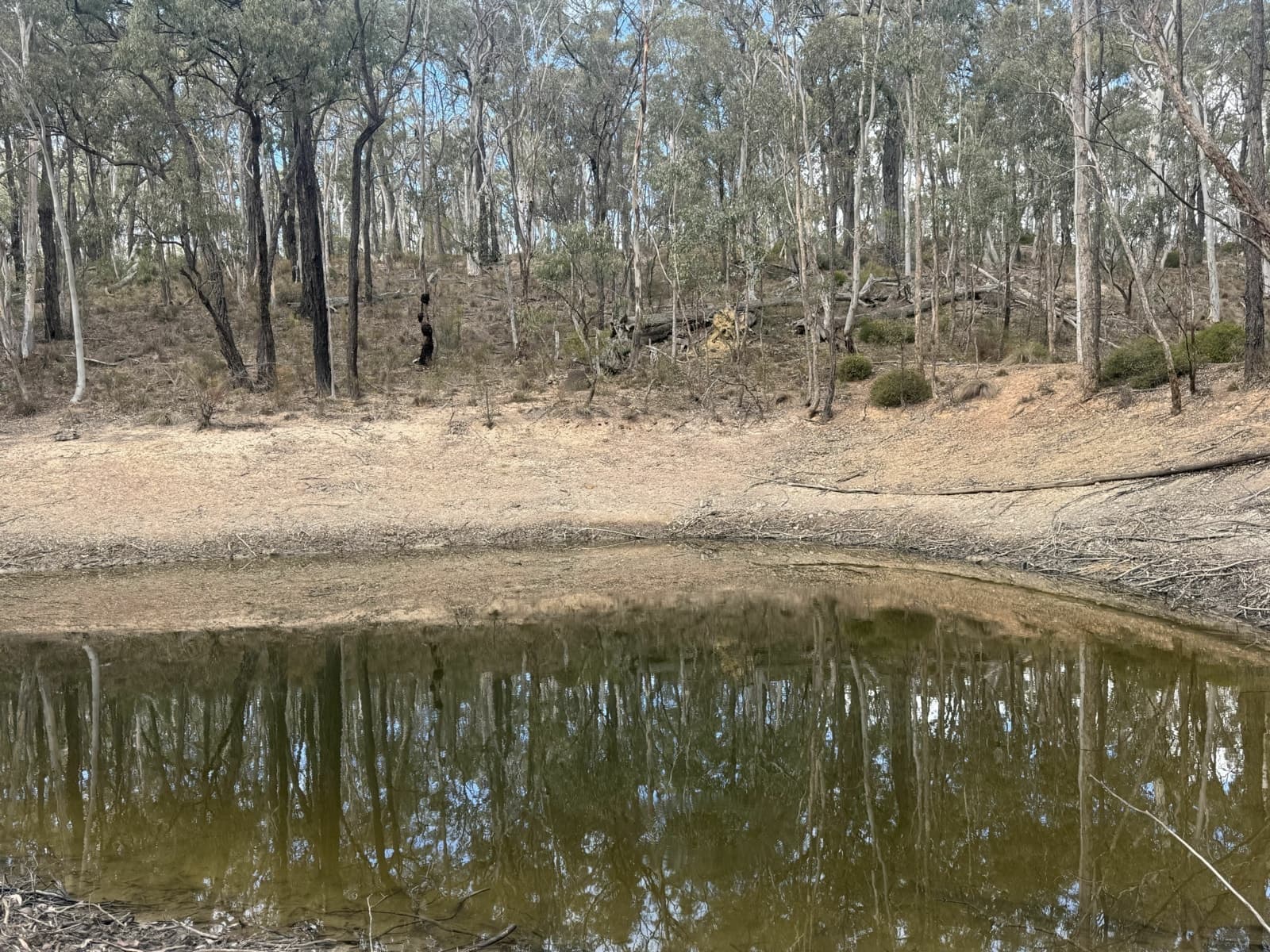 Lot 22 Glen Davis Road, CAPERTEE, Capertee - Thumbnail 3