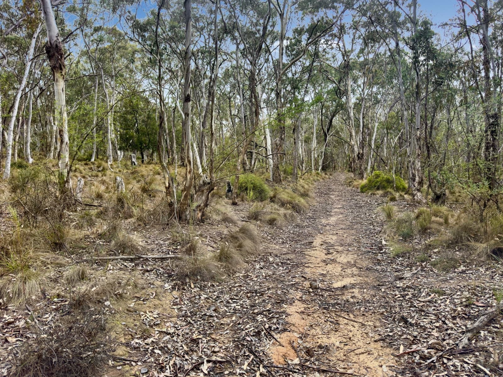 Lot 22 Glen Davis Road, CAPERTEE, Capertee - Thumbnail 5