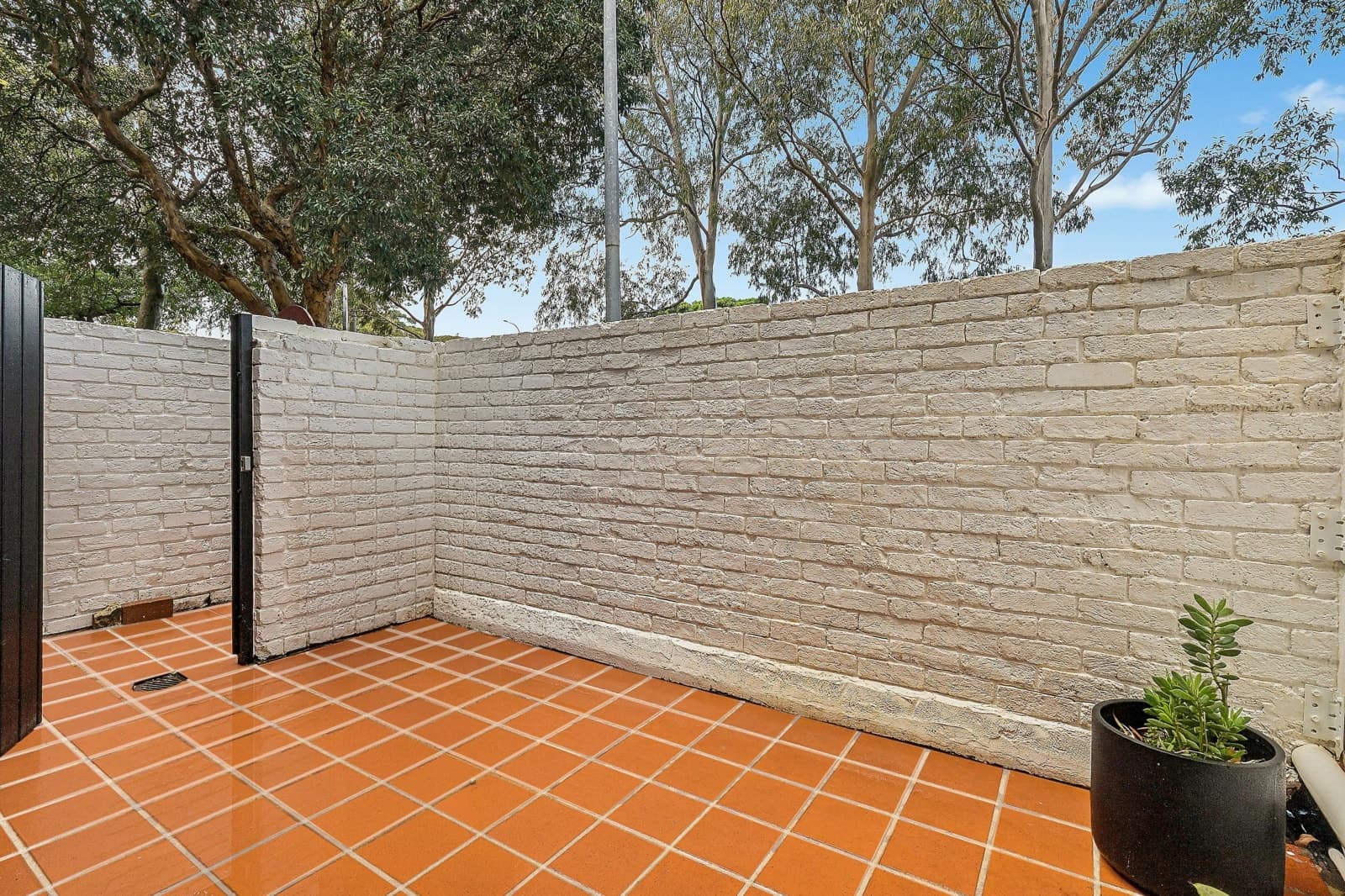713 South Dowling Street, REDFERN, Redfern - Thumbnail 6