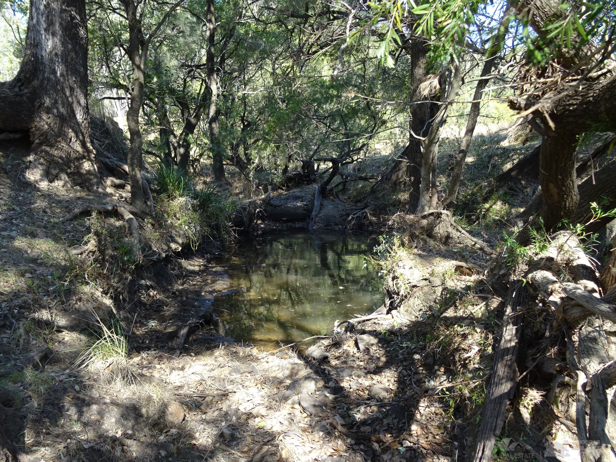 Lot 1 Butt Road, Moogerah - Thumbnail 5