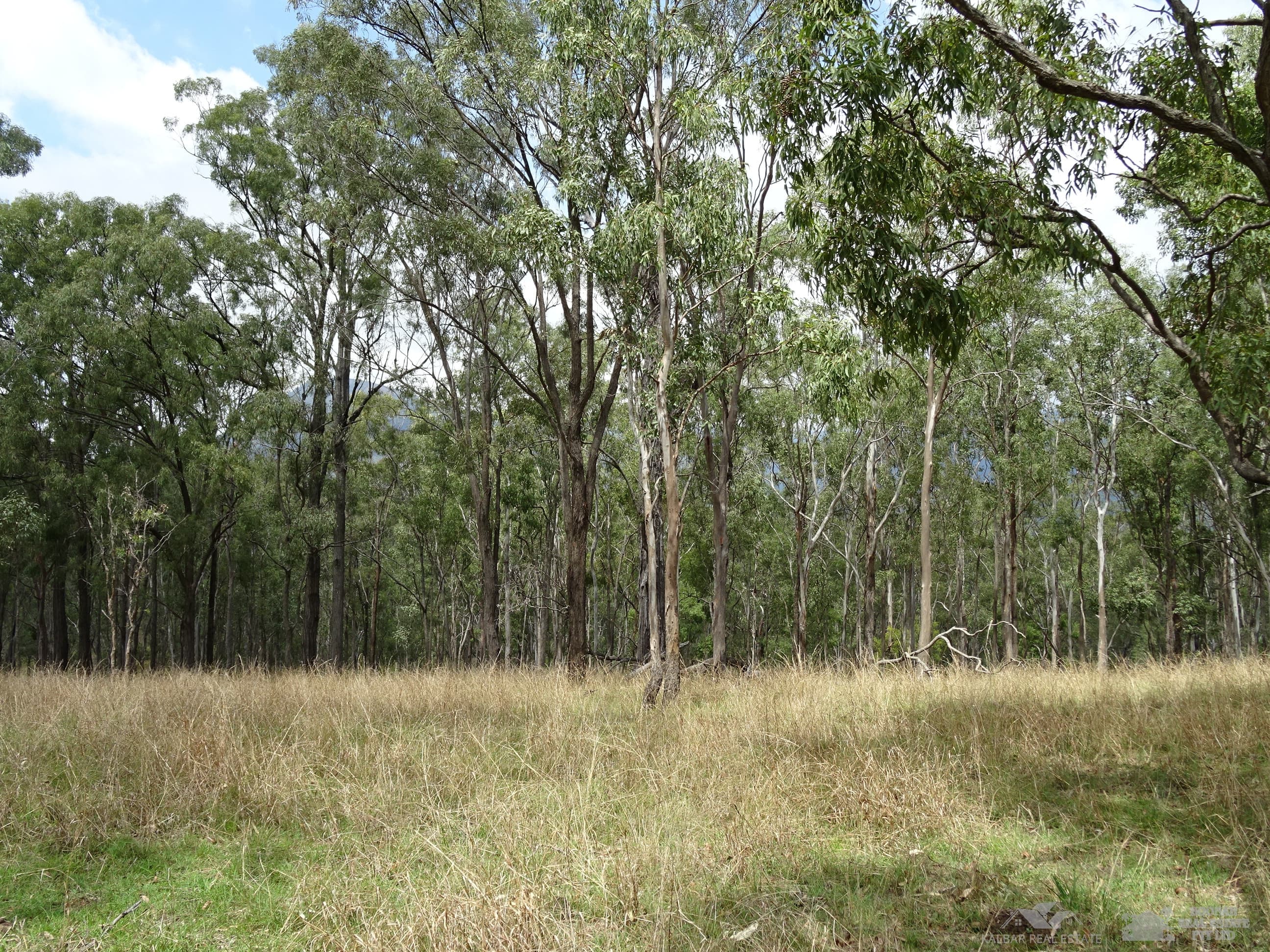 Lot 1 Butt Road, Moogerah - Thumbnail 6