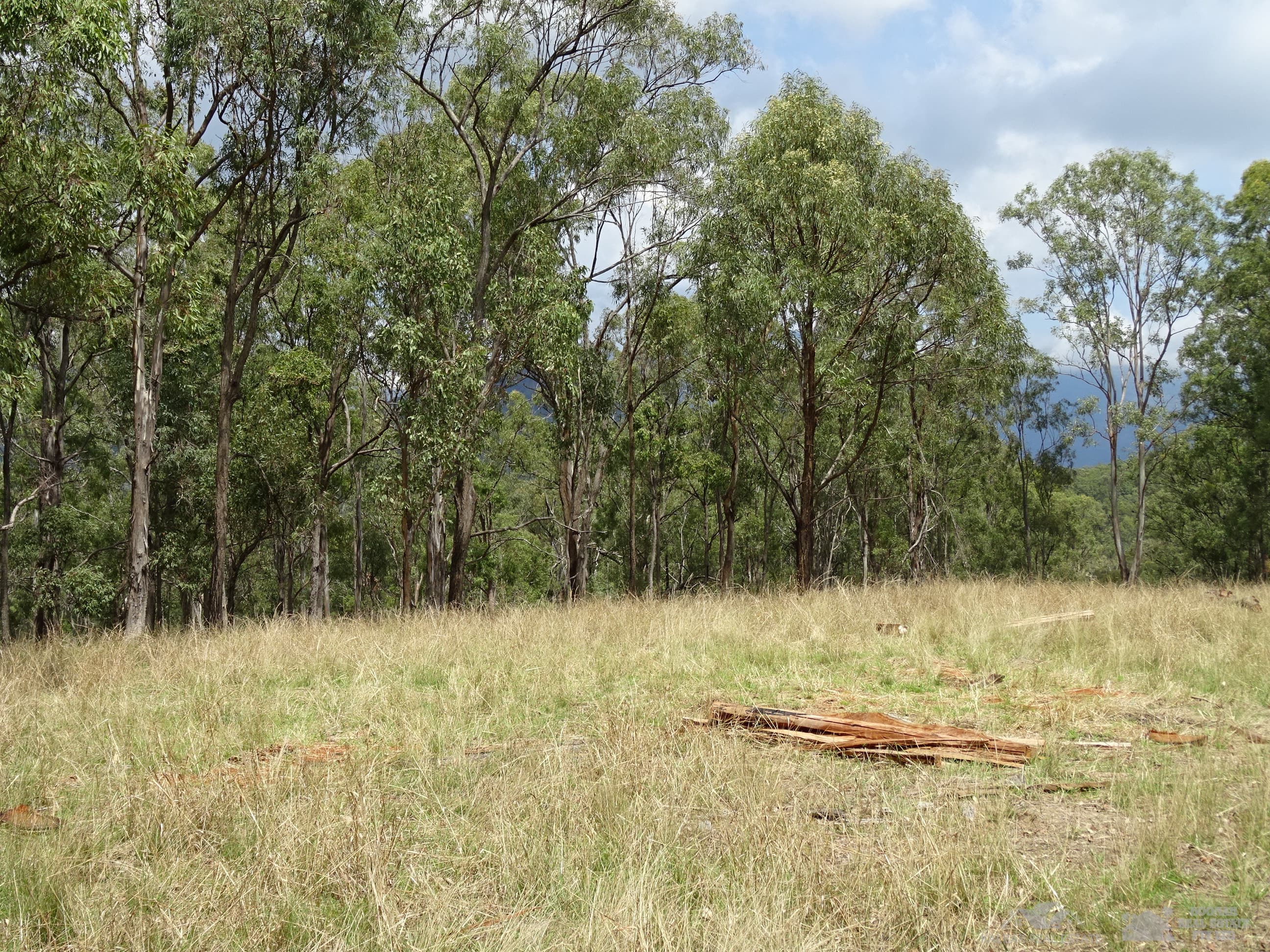 Lot 1 Butt Road, Moogerah - Thumbnail 8