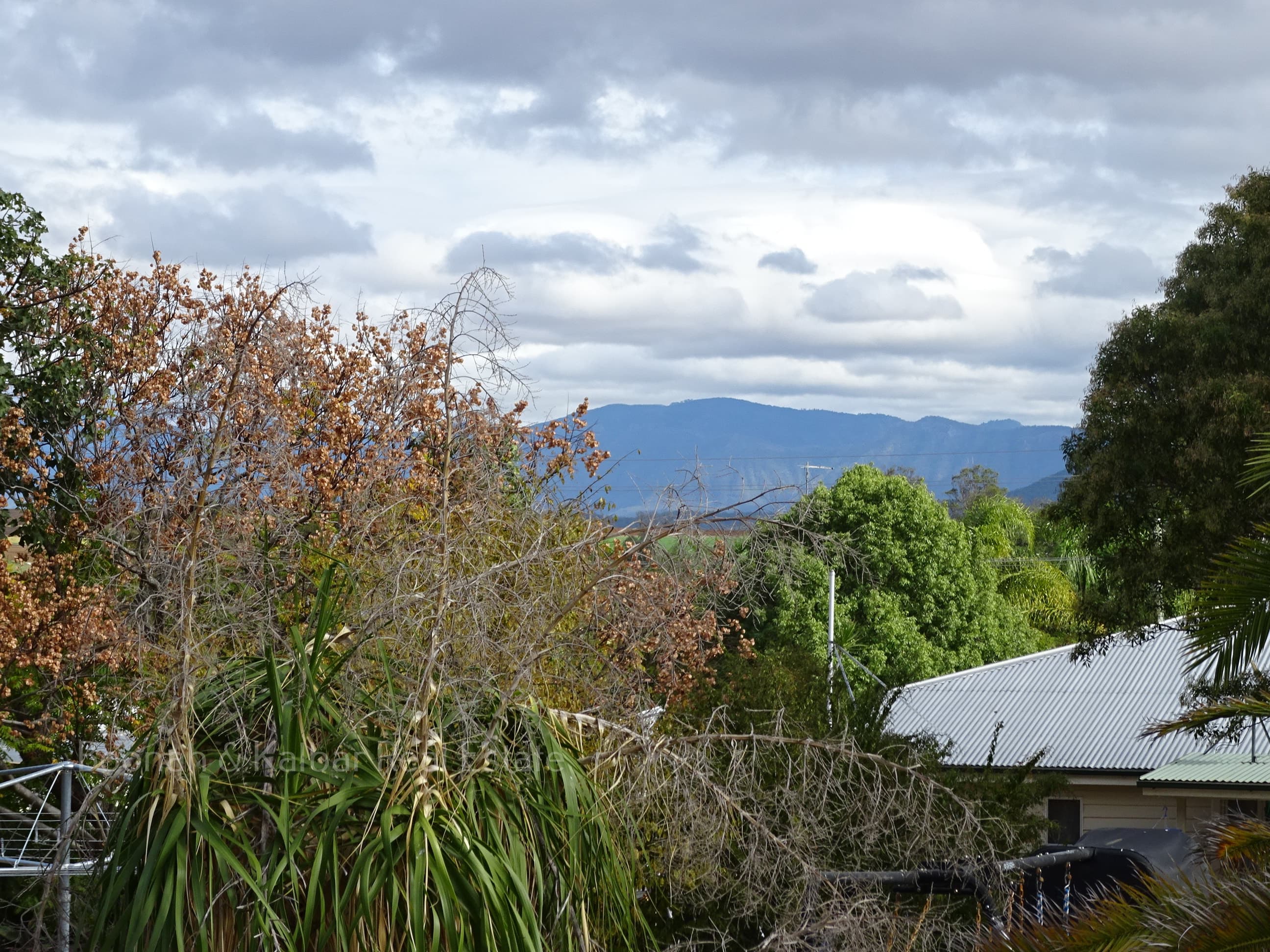 19 Davies St, Kalbar - Thumbnail 2