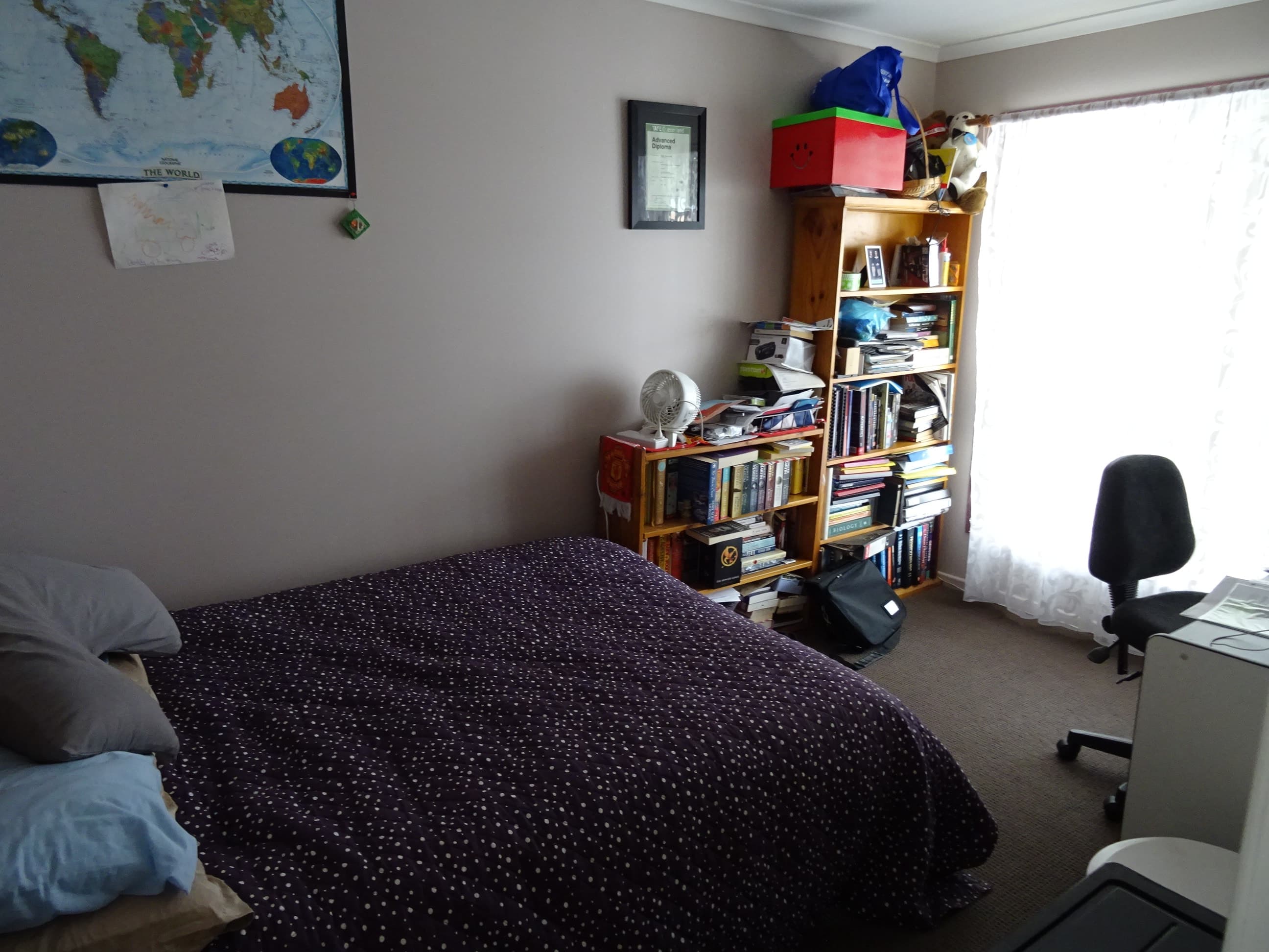 20 Davies St, Kalbar, Kalbar - Thumbnail 6