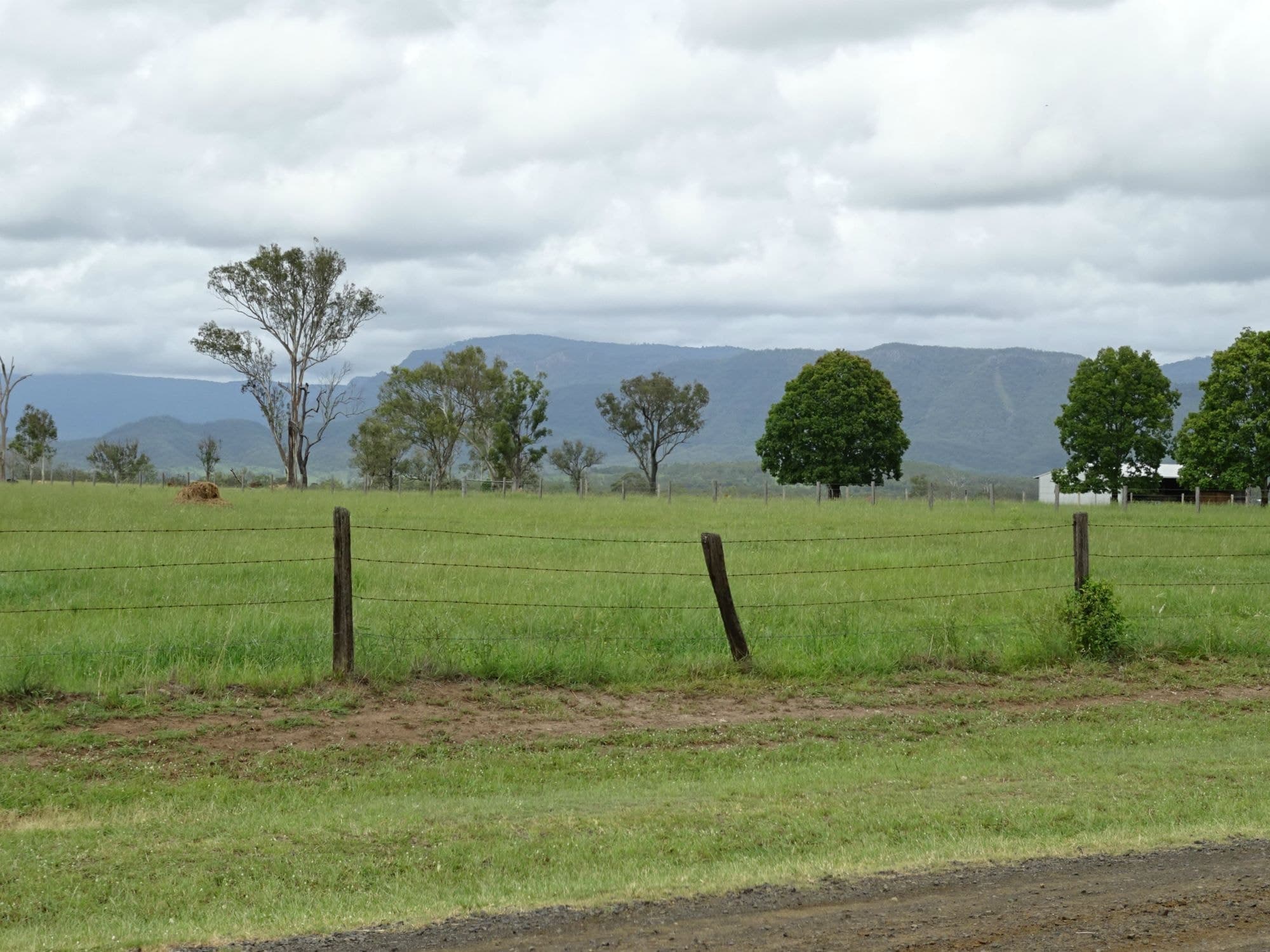 10 Elavesor Drive, Rosevale - Thumbnail 4