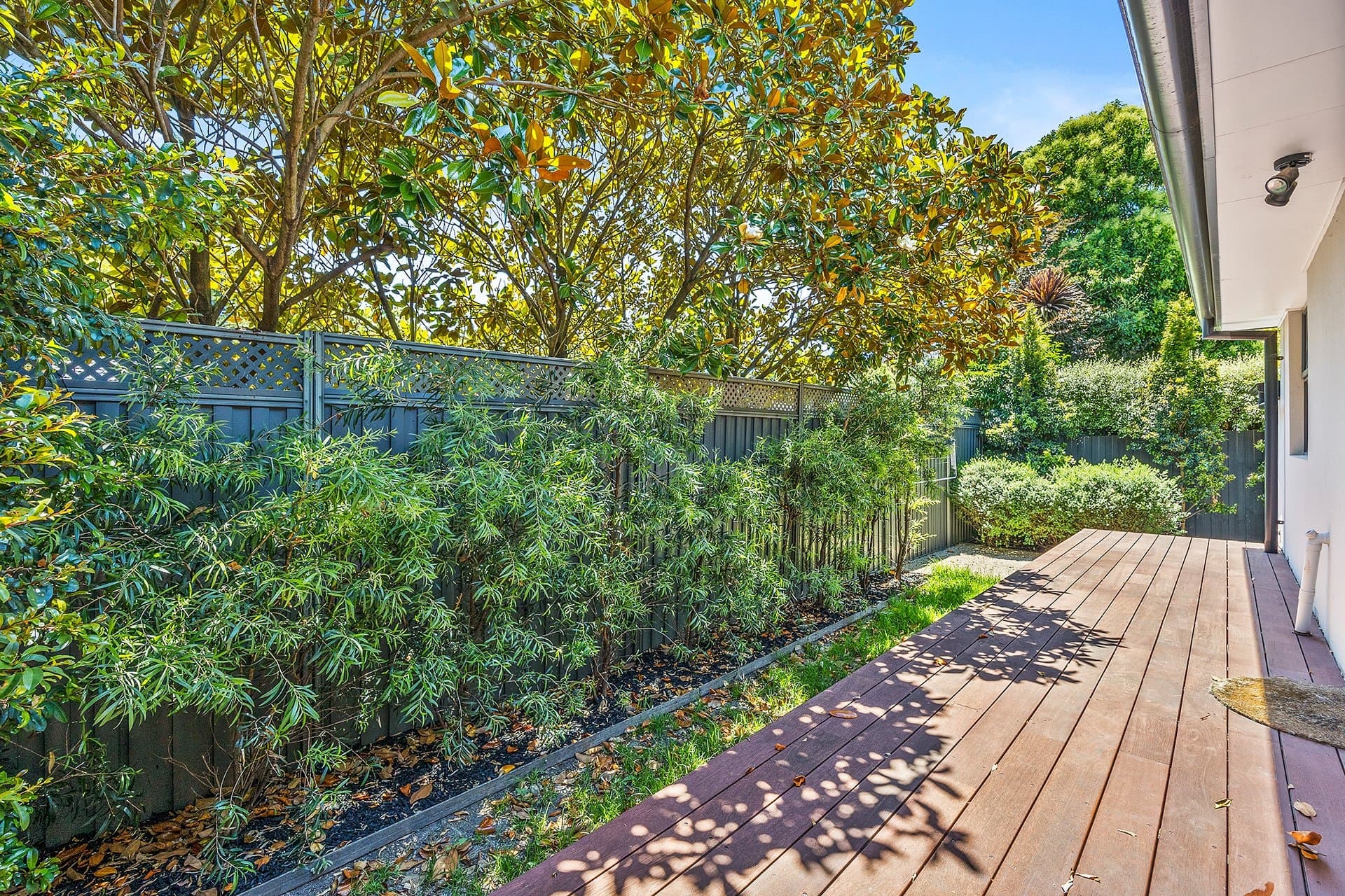 4/8 Grigg Avenue, Vermont, Vermont - Image 1