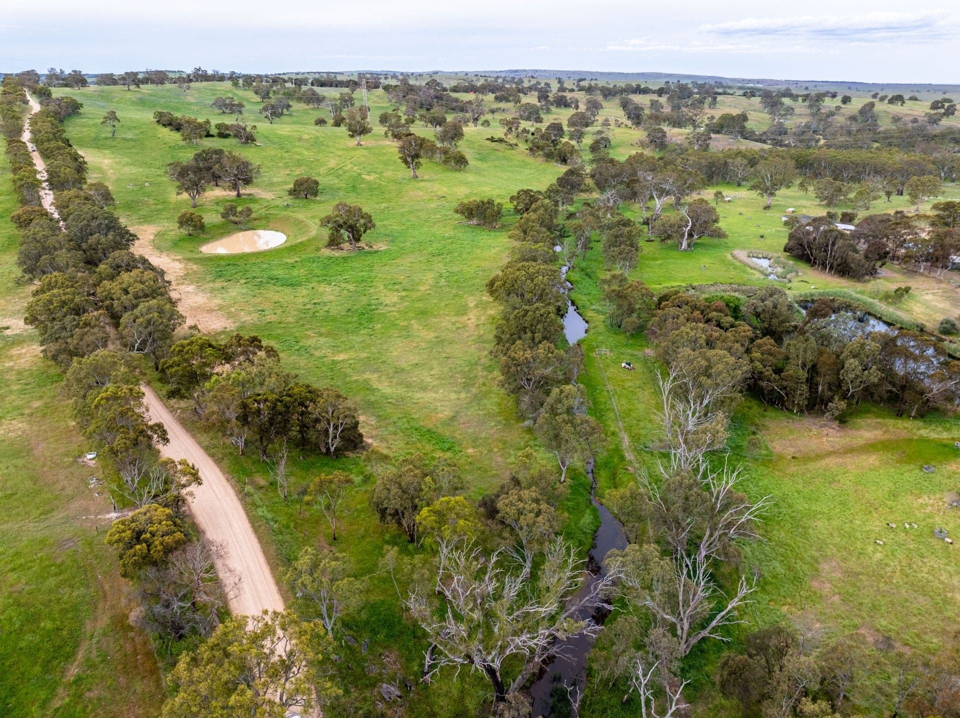 Lot 18 Collins Road, Tungkillo SA, Tungkillo - Thumbnail 4