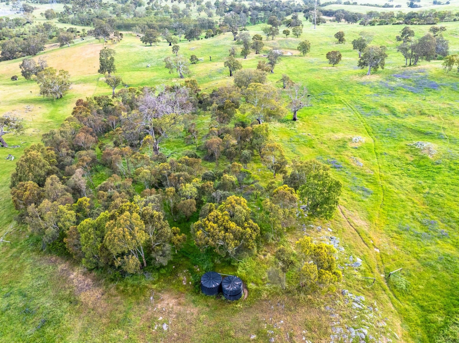 Lot 18 Collins Road, Tungkillo SA, Tungkillo - Thumbnail 5