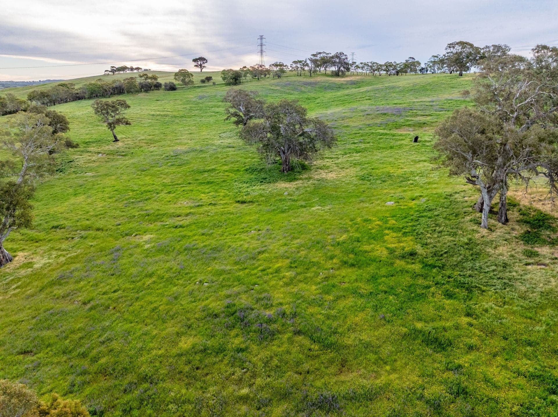Lot 18 Collins Road, Tungkillo SA, Tungkillo - Thumbnail 6