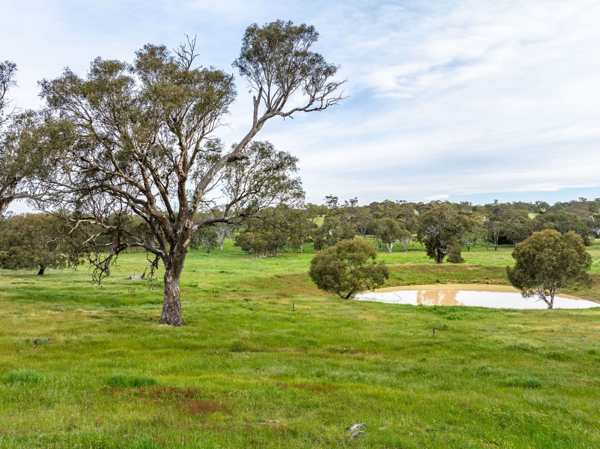 Lot 18 Collins Road, Tungkillo SA, Tungkillo - Thumbnail 7