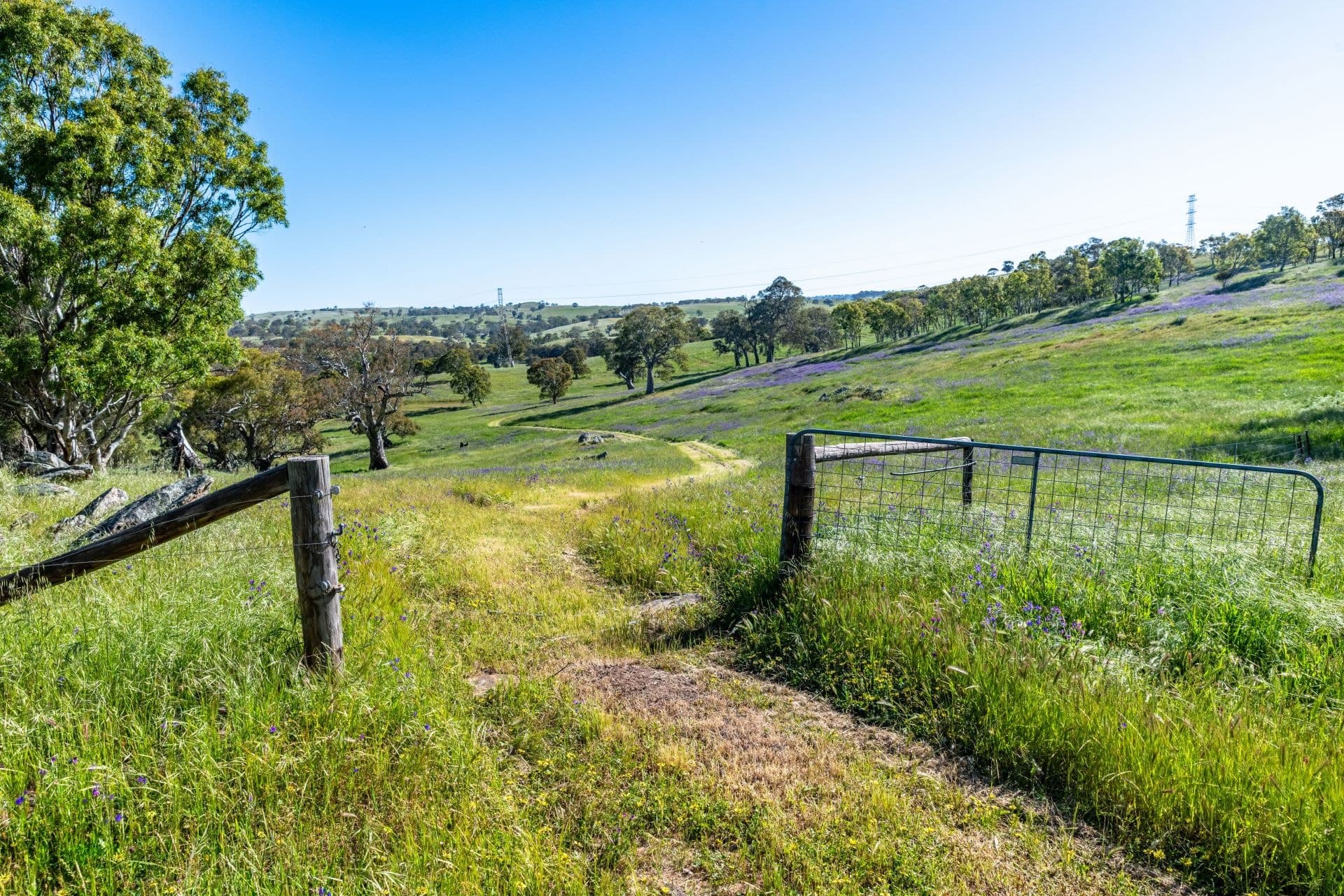 Lot 18 Collins Road, Tungkillo SA, Tungkillo - Thumbnail 8