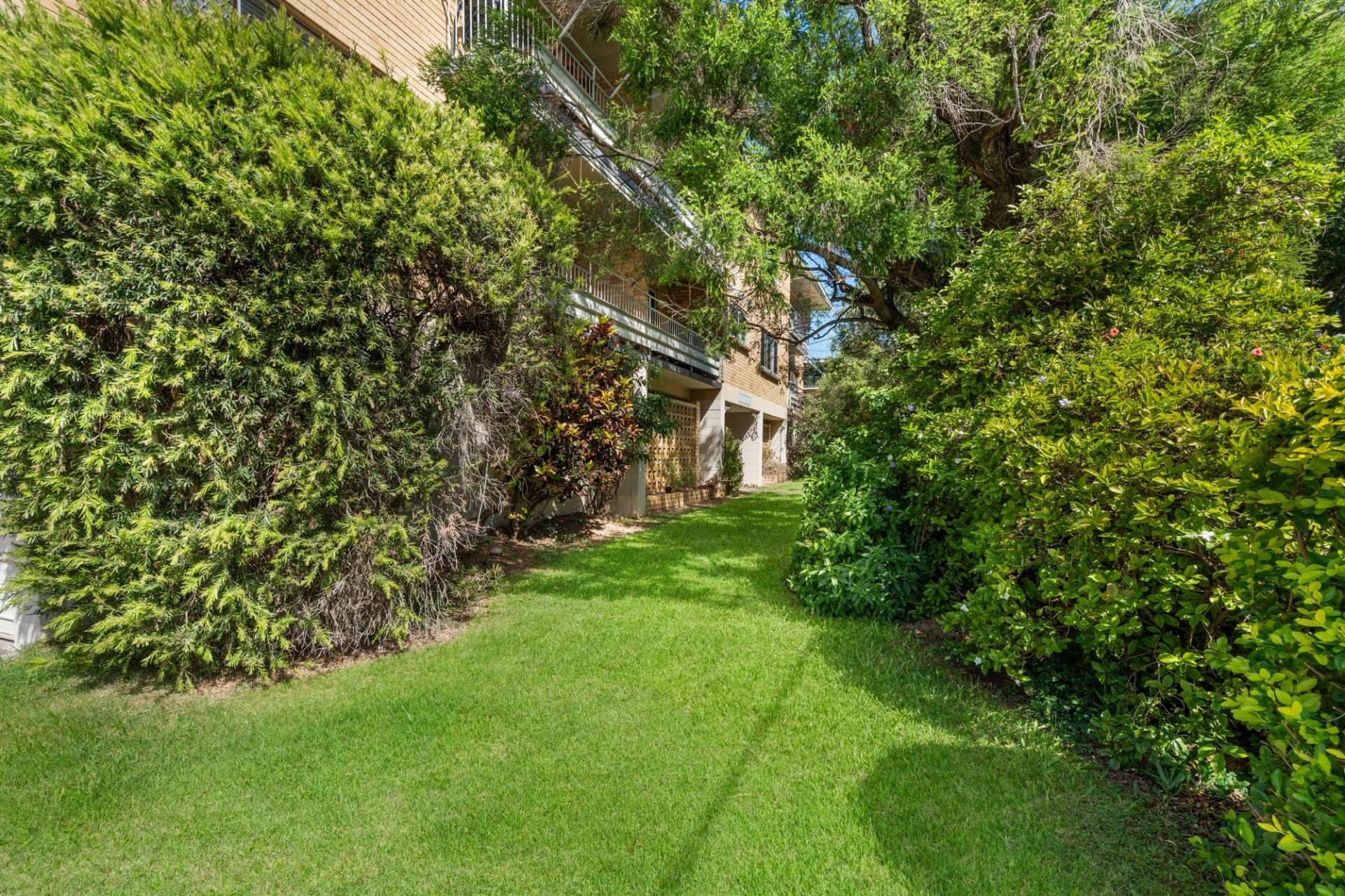 9/1 Adelaide Street Clayfield, Clayfield - Thumbnail 4